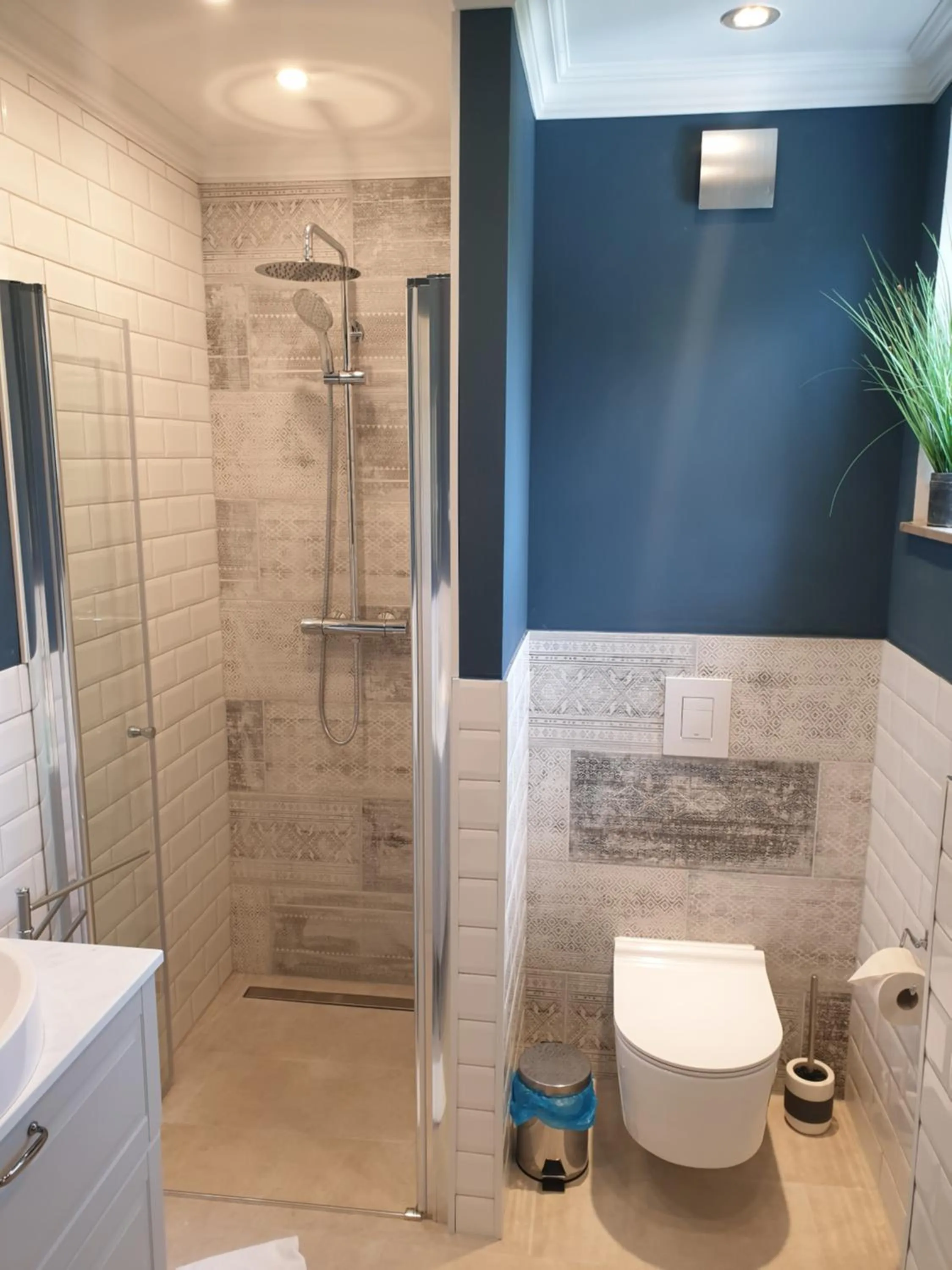 Shower in Das Friedrich