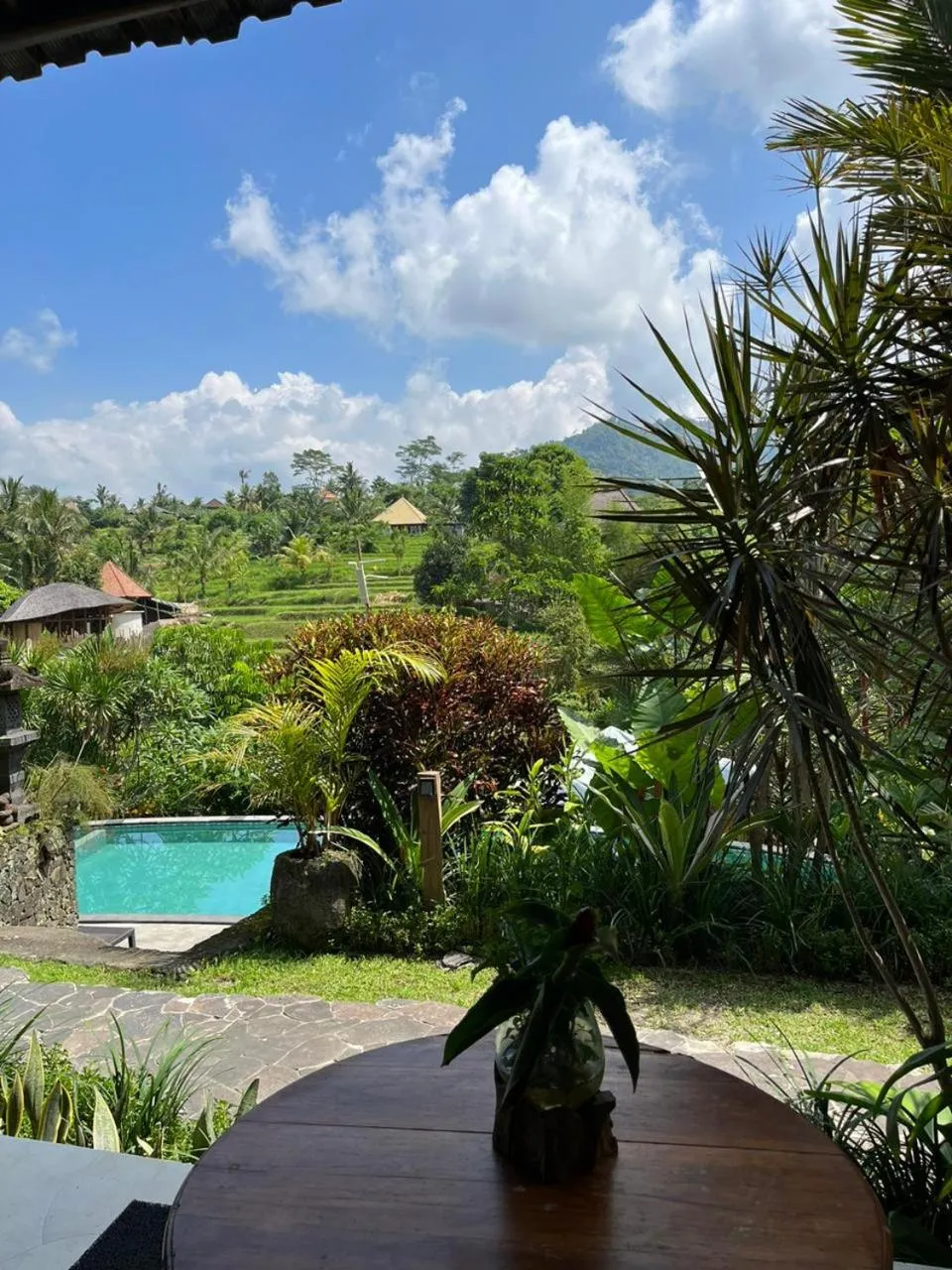View (from property/room) in Abian Ayu Villa