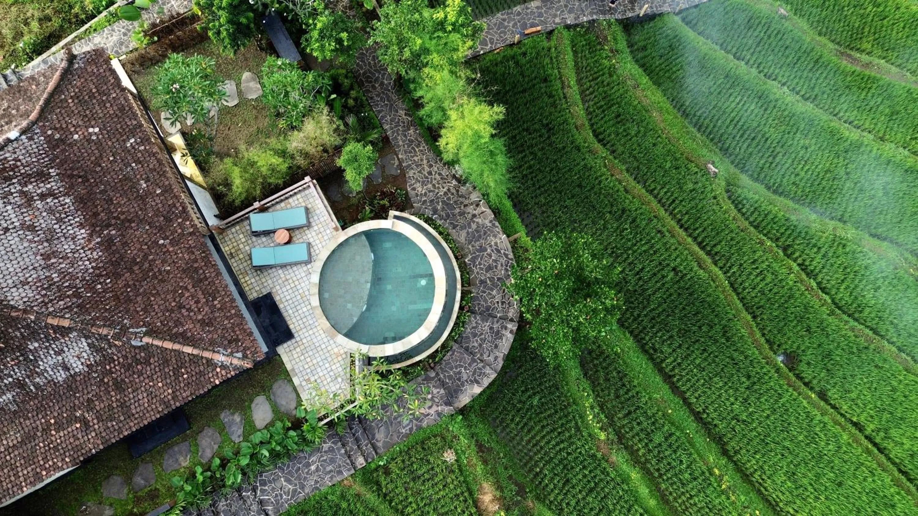 Pool view in Abian Ayu Villa