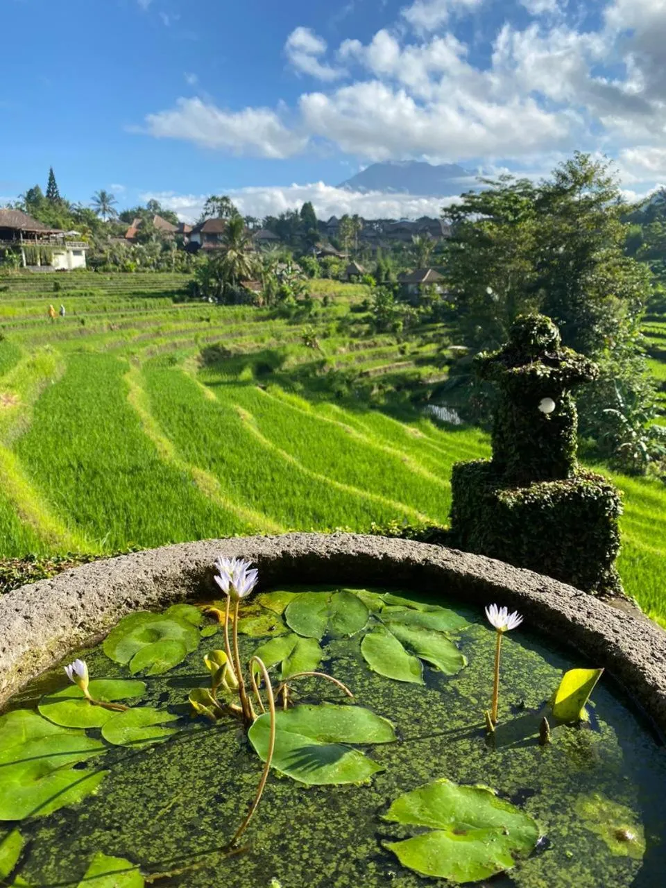 Natural landscape in Abian Ayu Villa