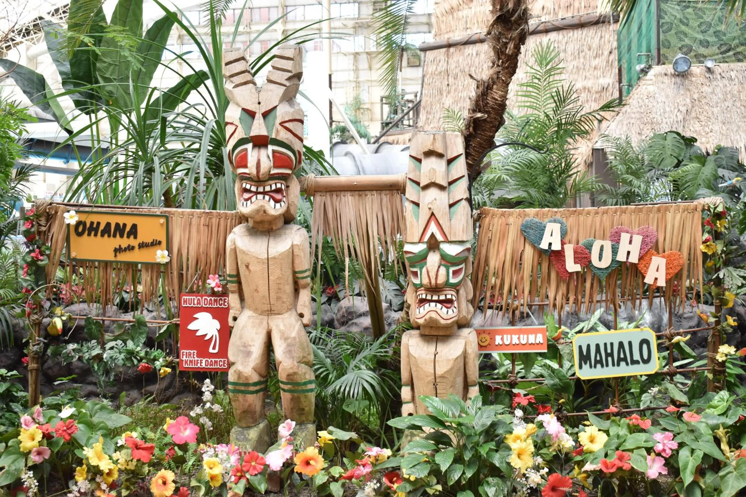 Area and facilities in Spa Resort Hawaiians Hotel Hawaiians