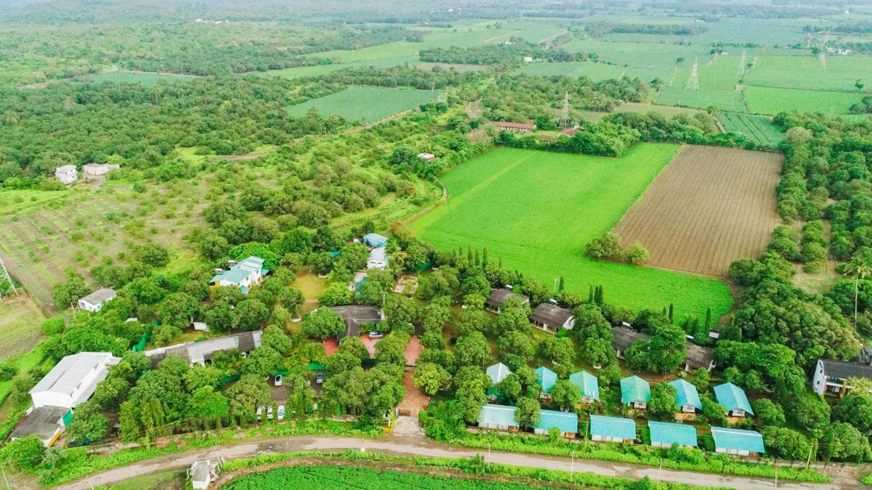 Day in Club Mahindra Sasan Gir