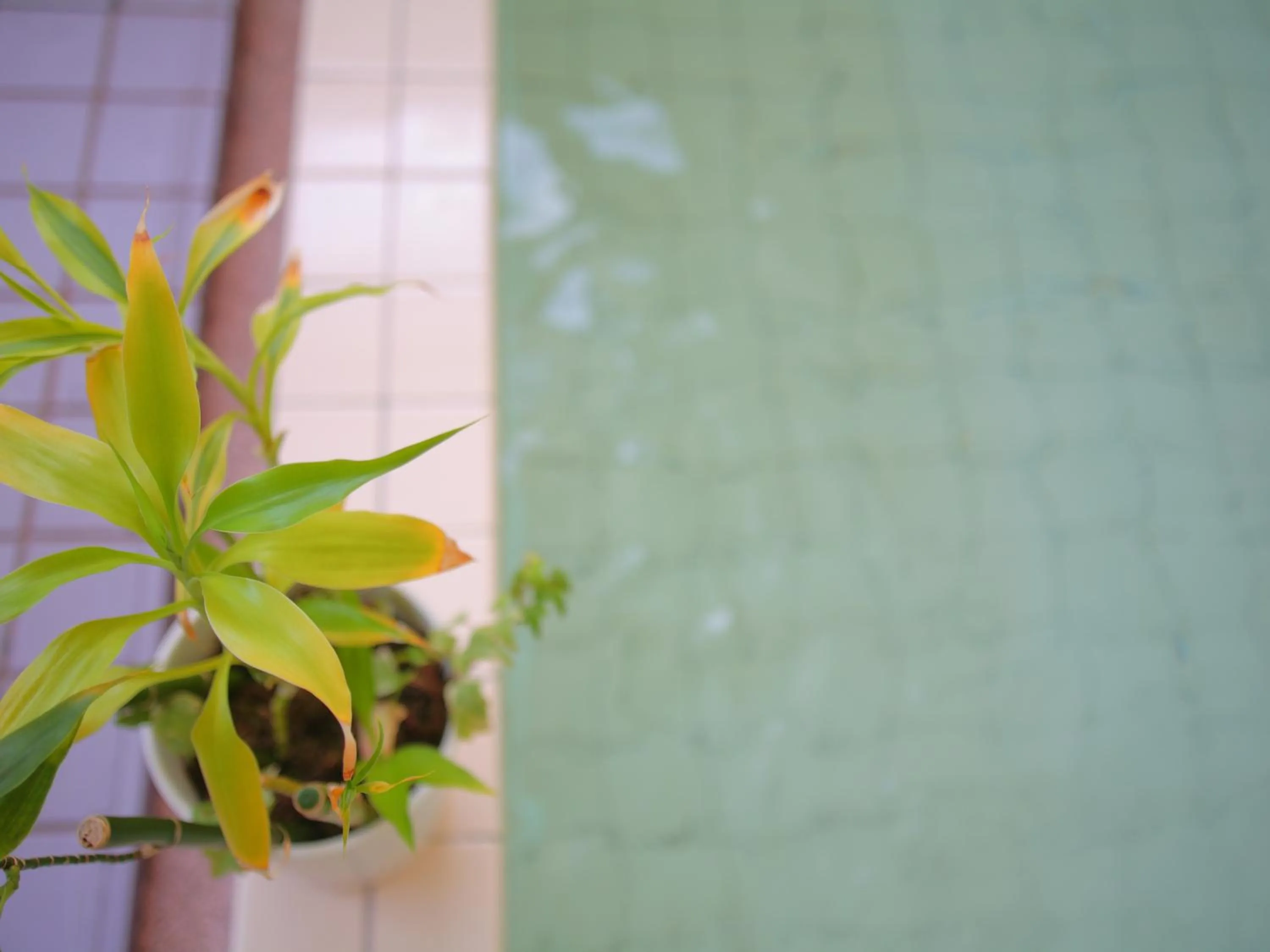 Public Bath in Hotel Moc