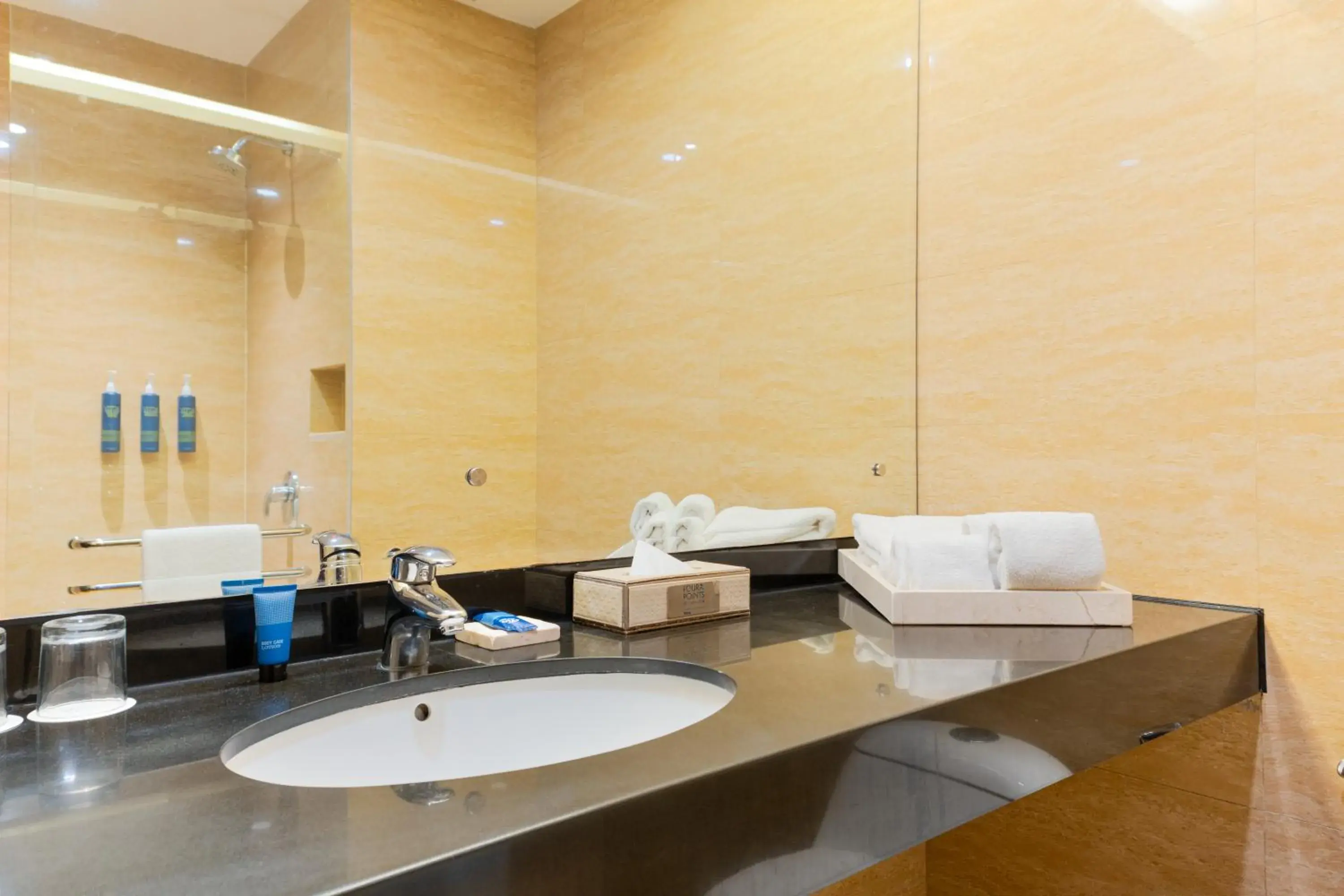 Business, Guest room, 2 Twin/Single Bed(s), City view in Four Points by Sheraton Medan Business, Guest room, 2 Twin/Single Bed(s), City view in Four Points by Sheraton Medan