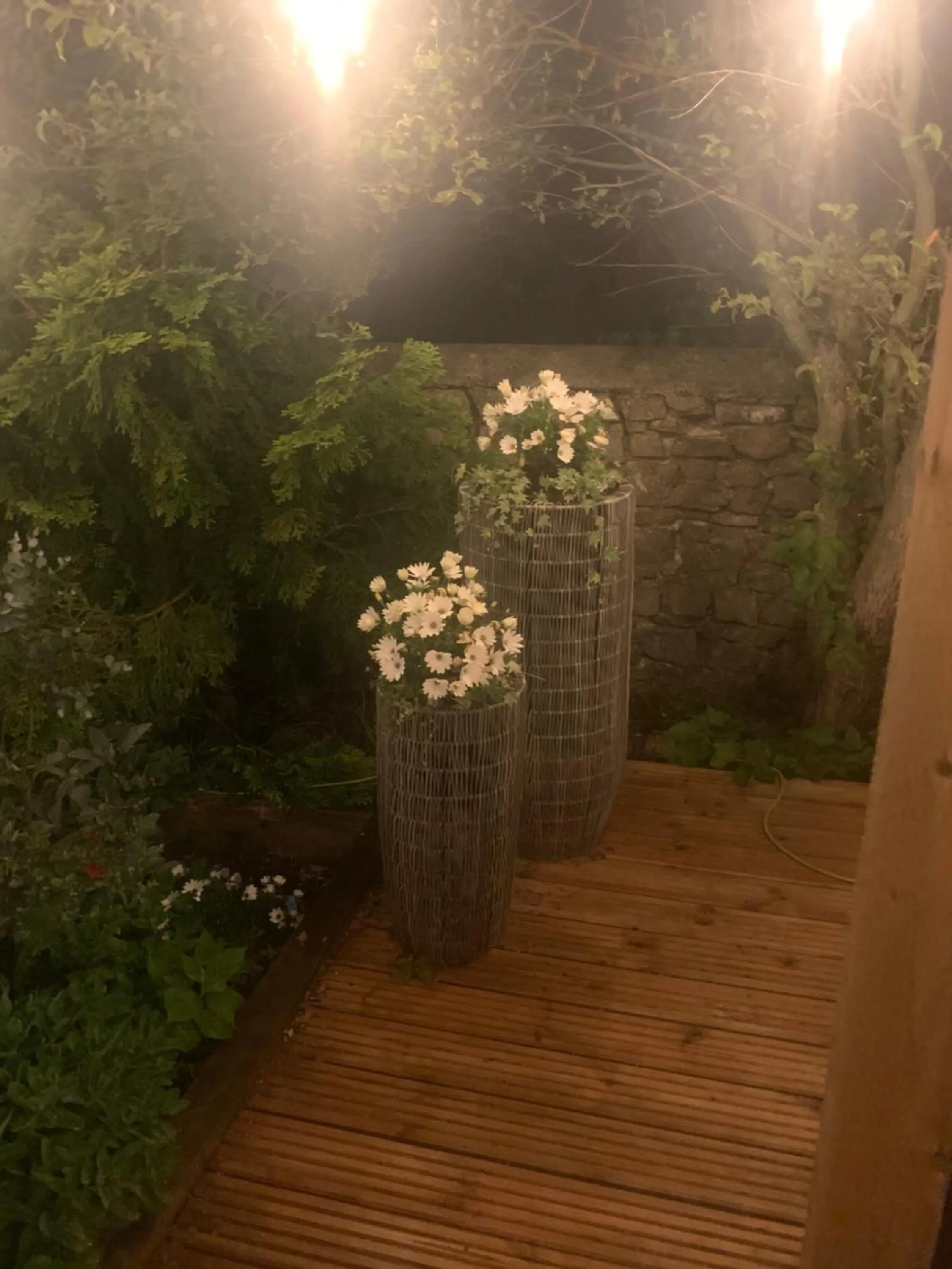 Garden in Tathan Herd