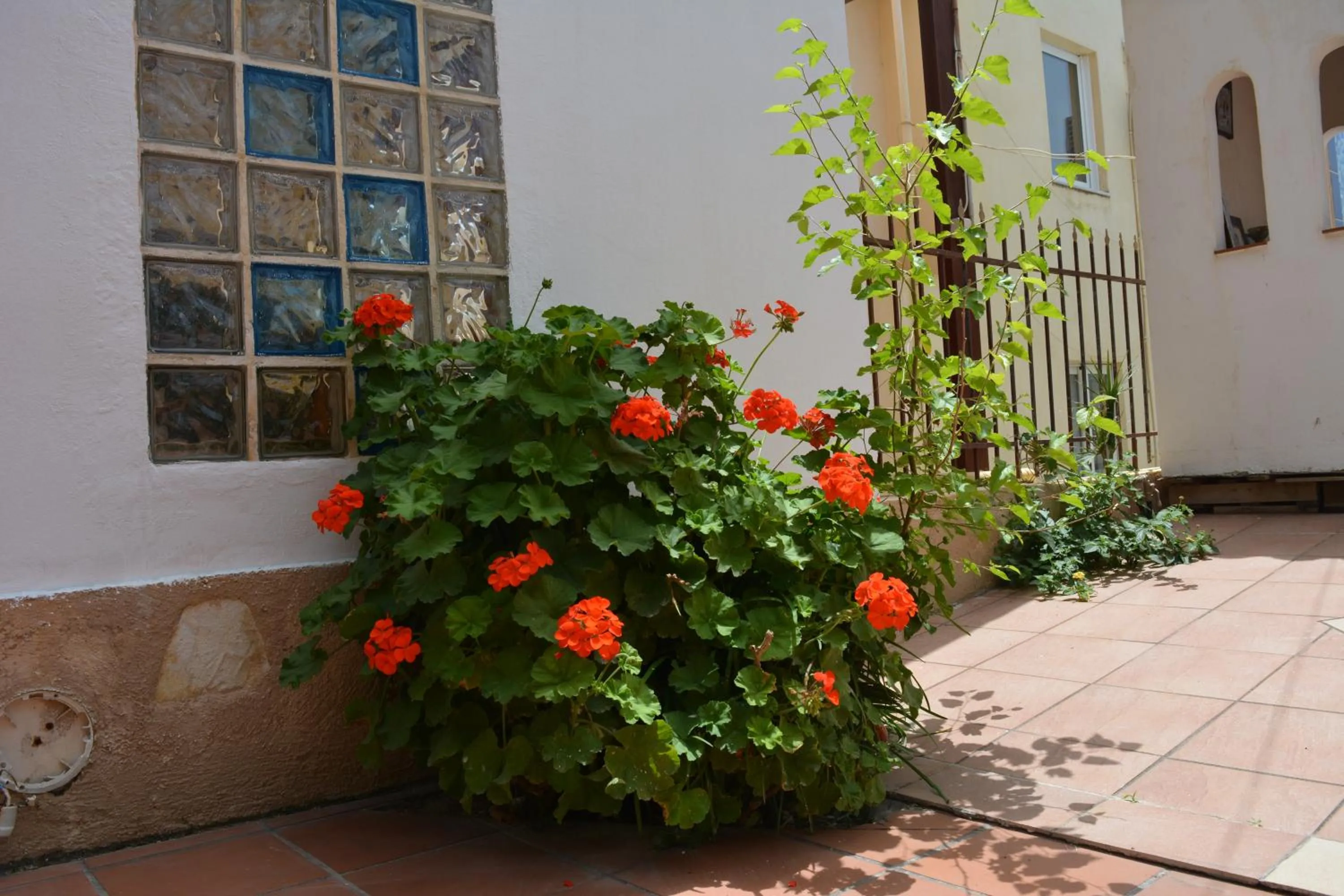 Garden in Villa Giorgos