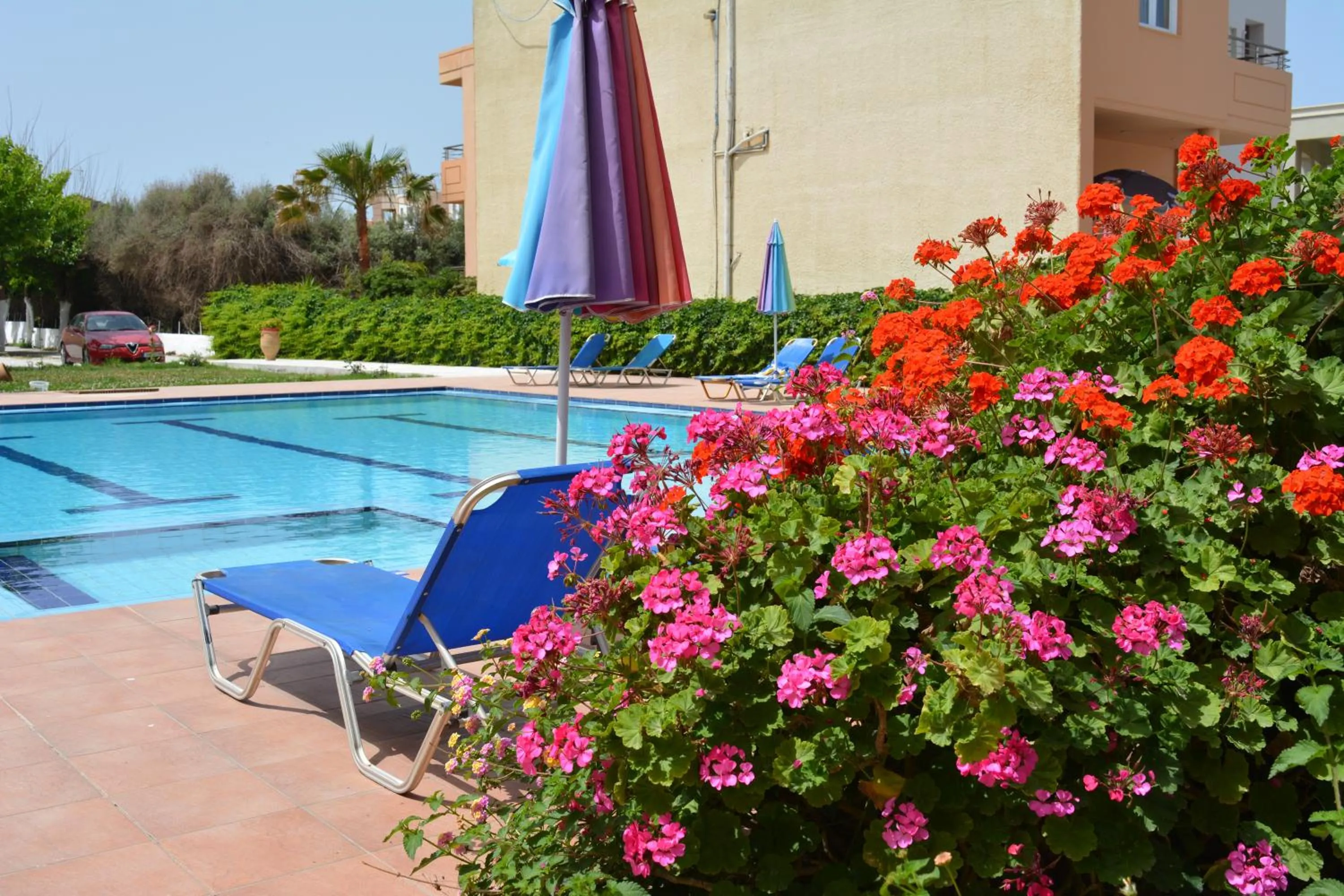 Swimming pool in Villa Giorgos