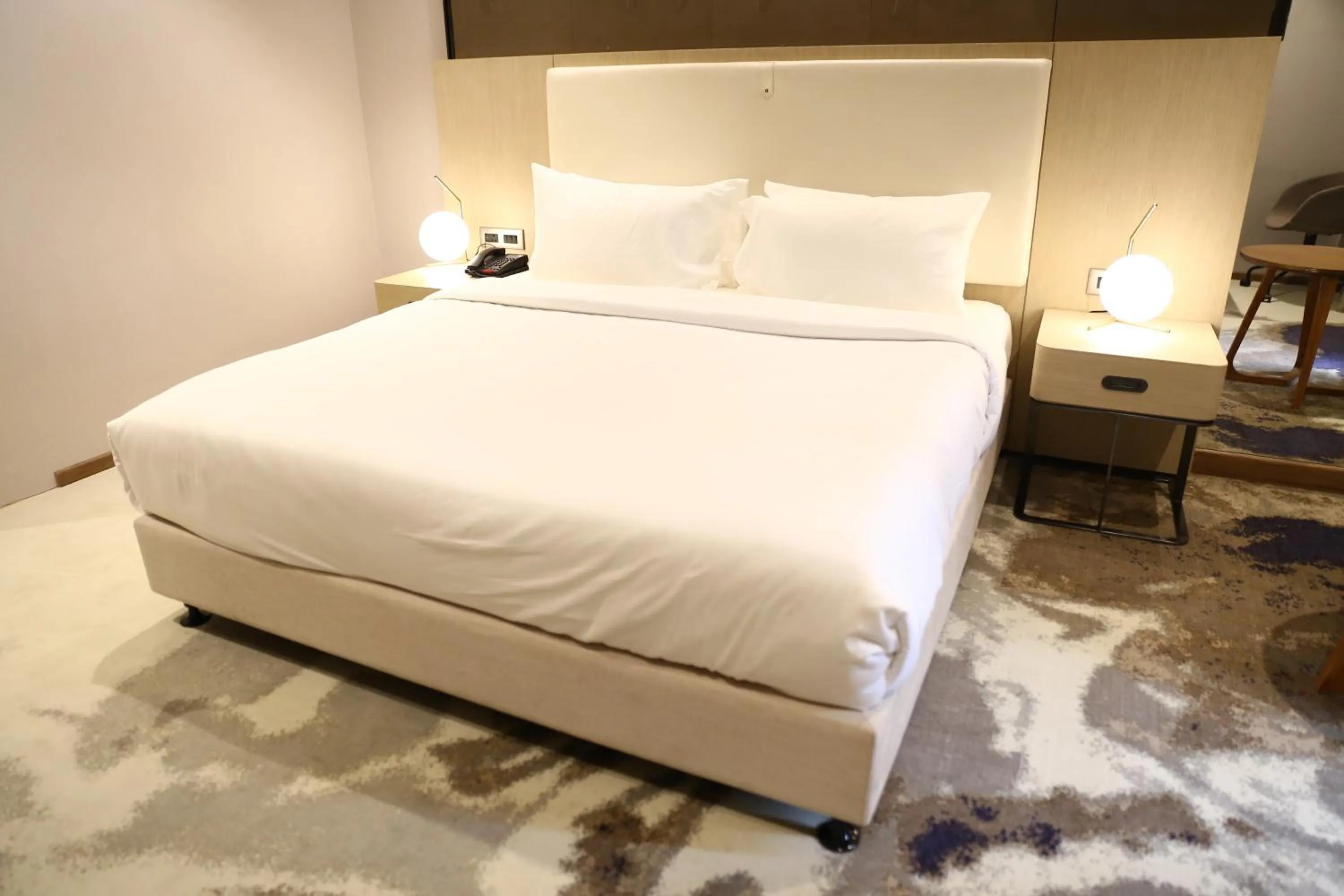 Clarks Inn Suites Raipur