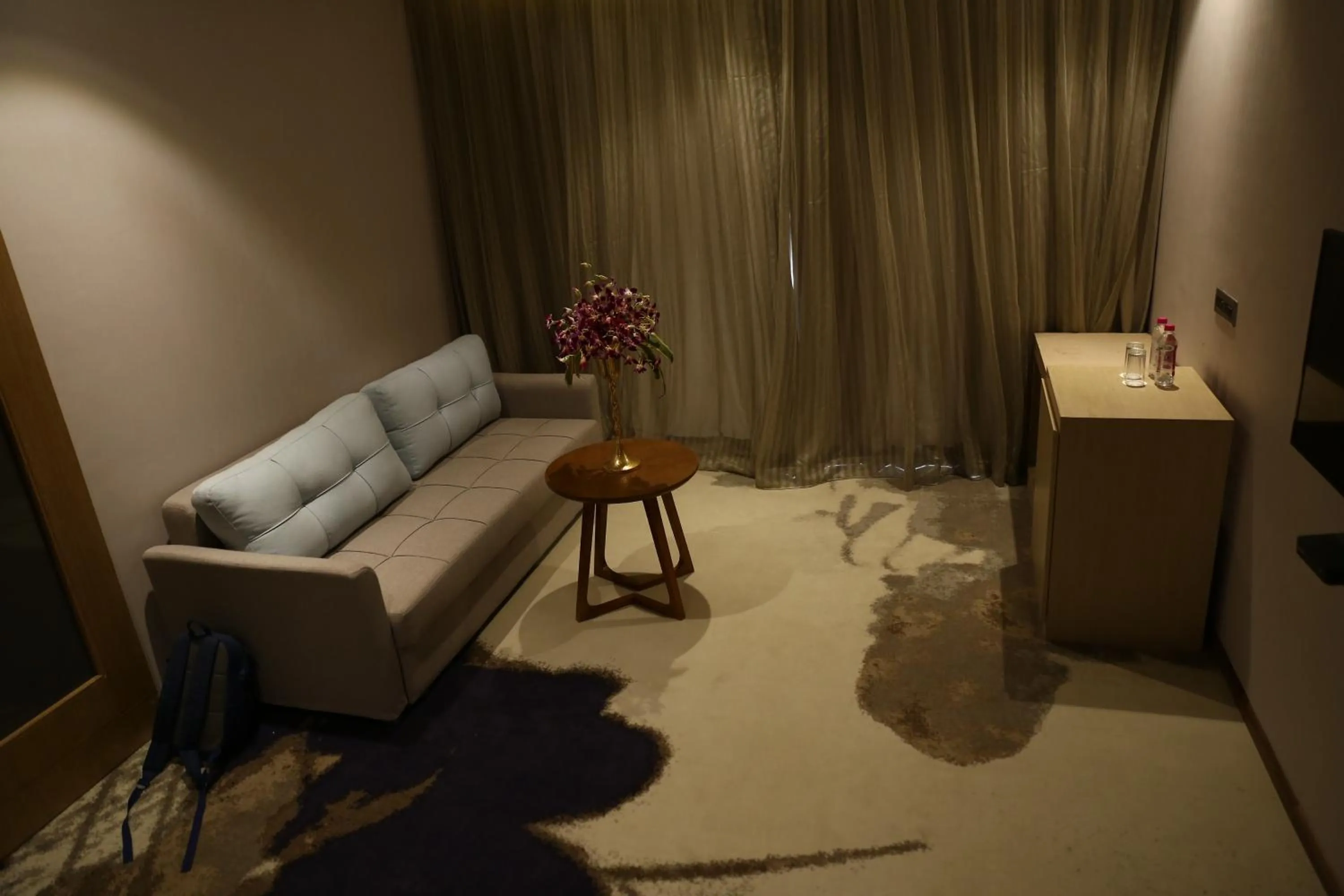 Clarks Inn Suites Raipur