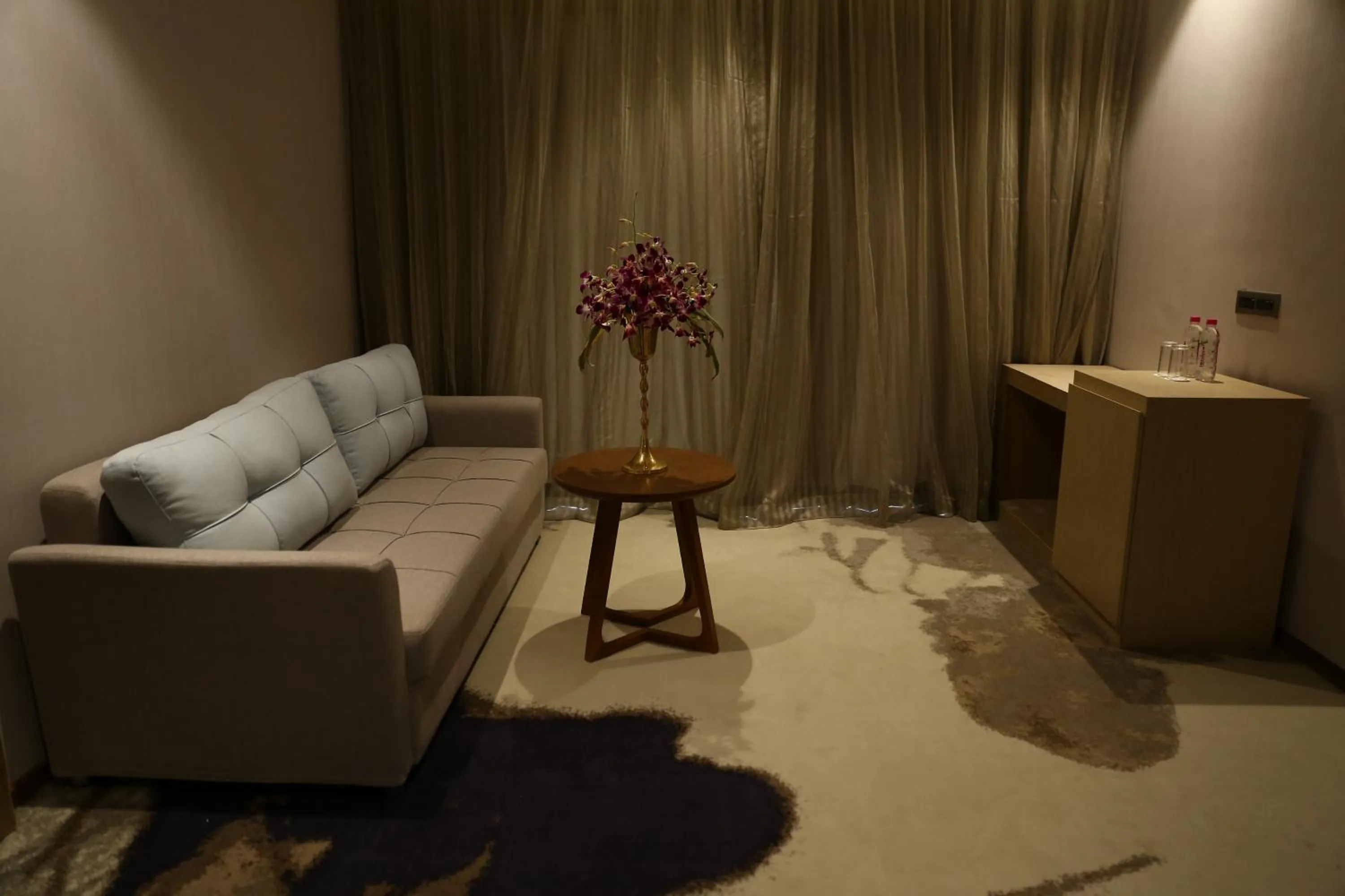 Clarks Inn Suites Raipur