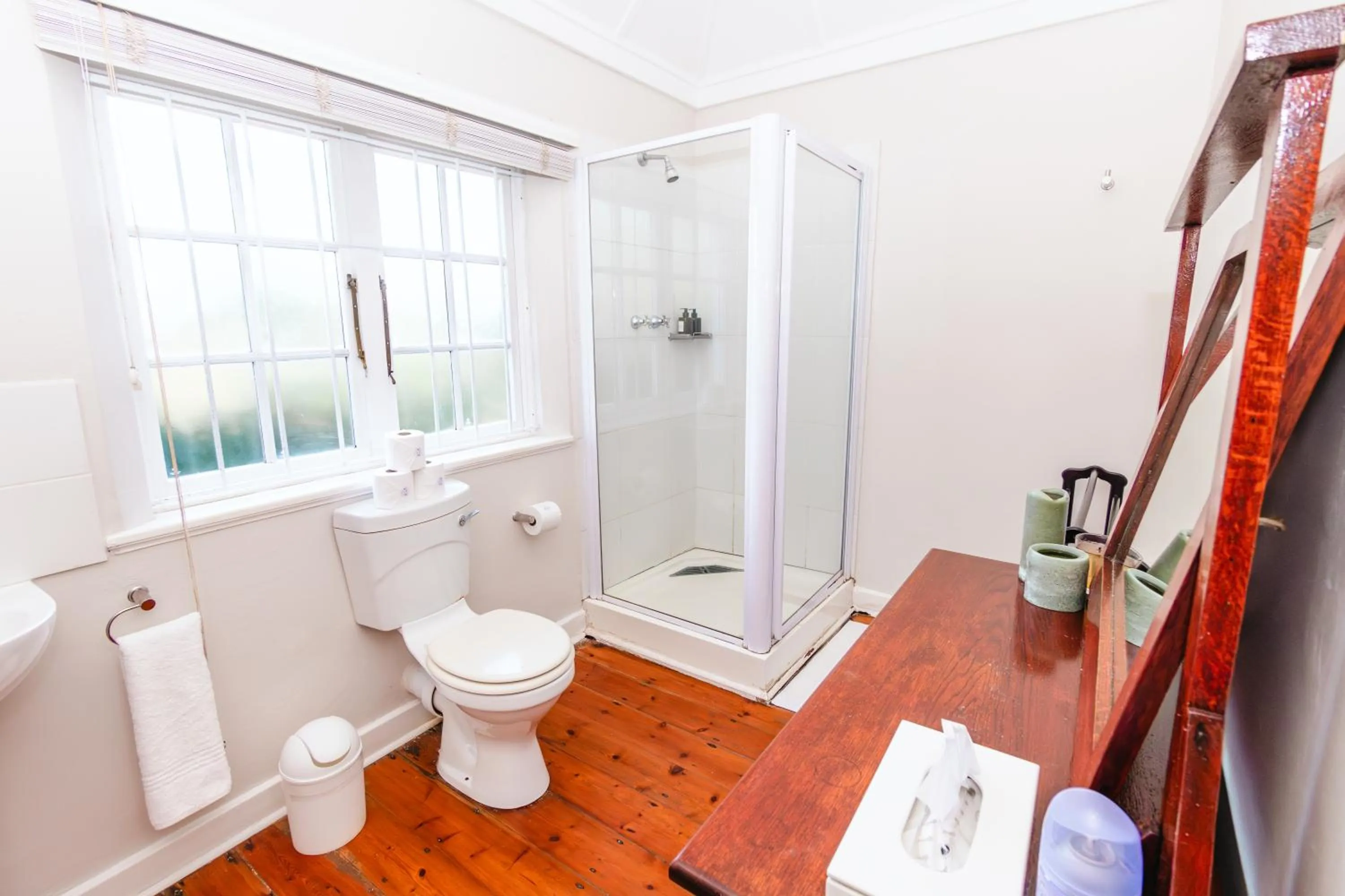 Bathroom in Botha House