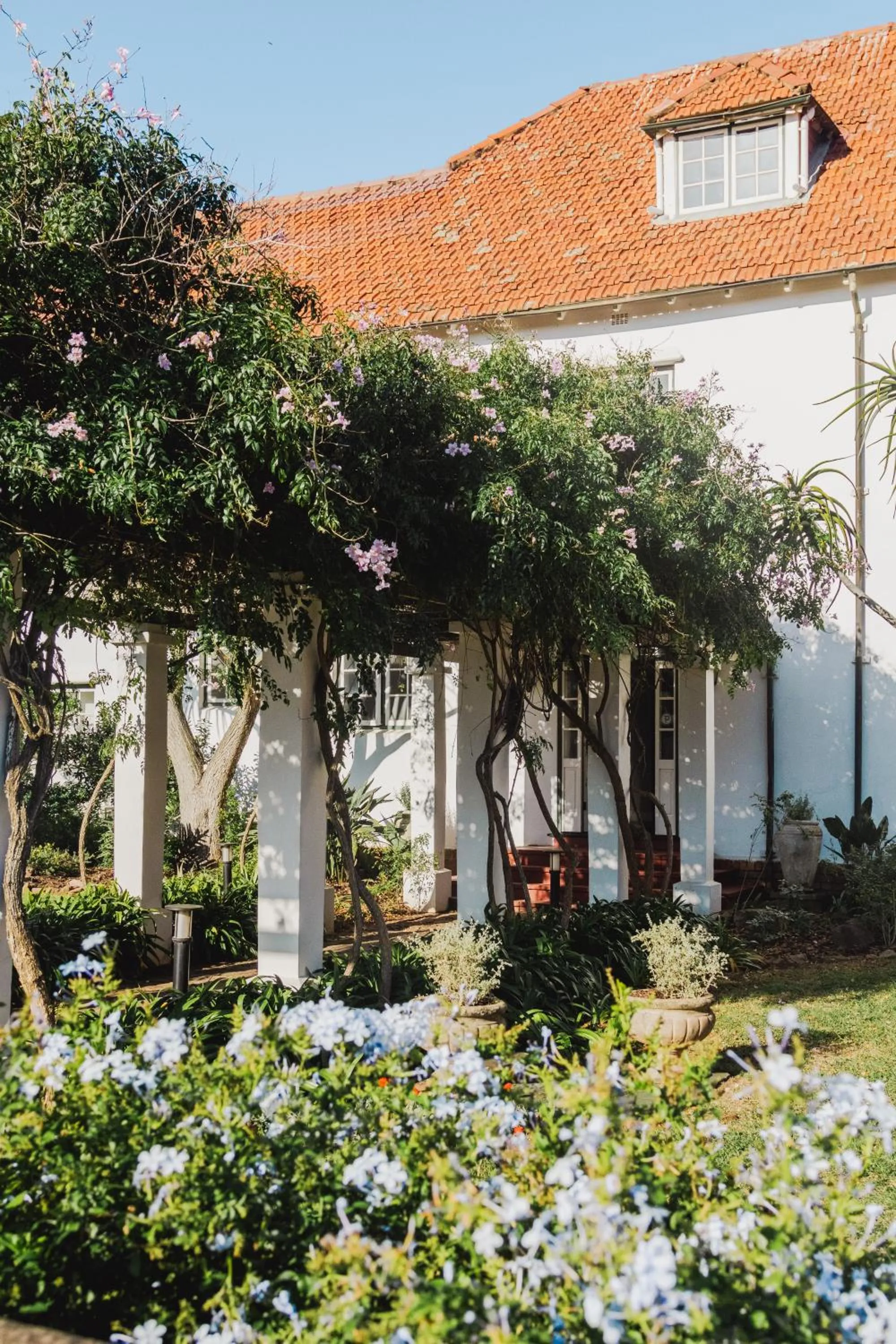 Property building in Botha House