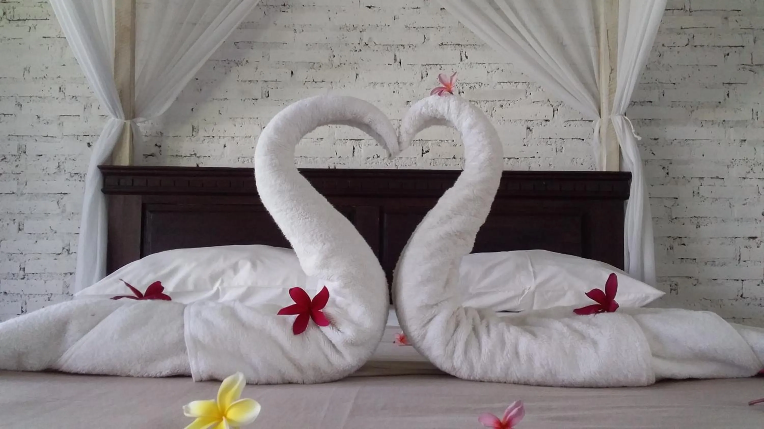 Bed in Jungle House - surf & stay