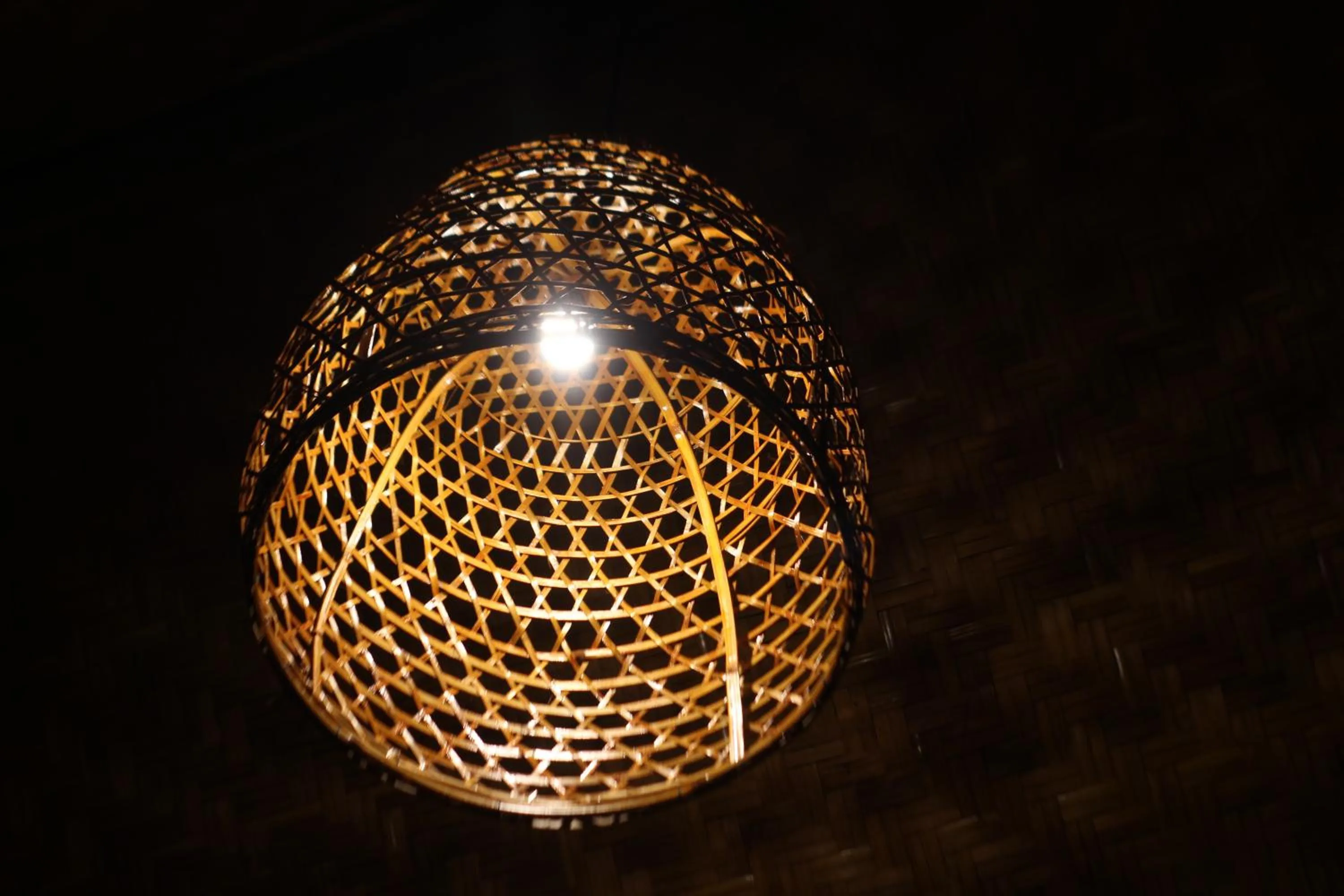 Night in Jungle House - surf & stay