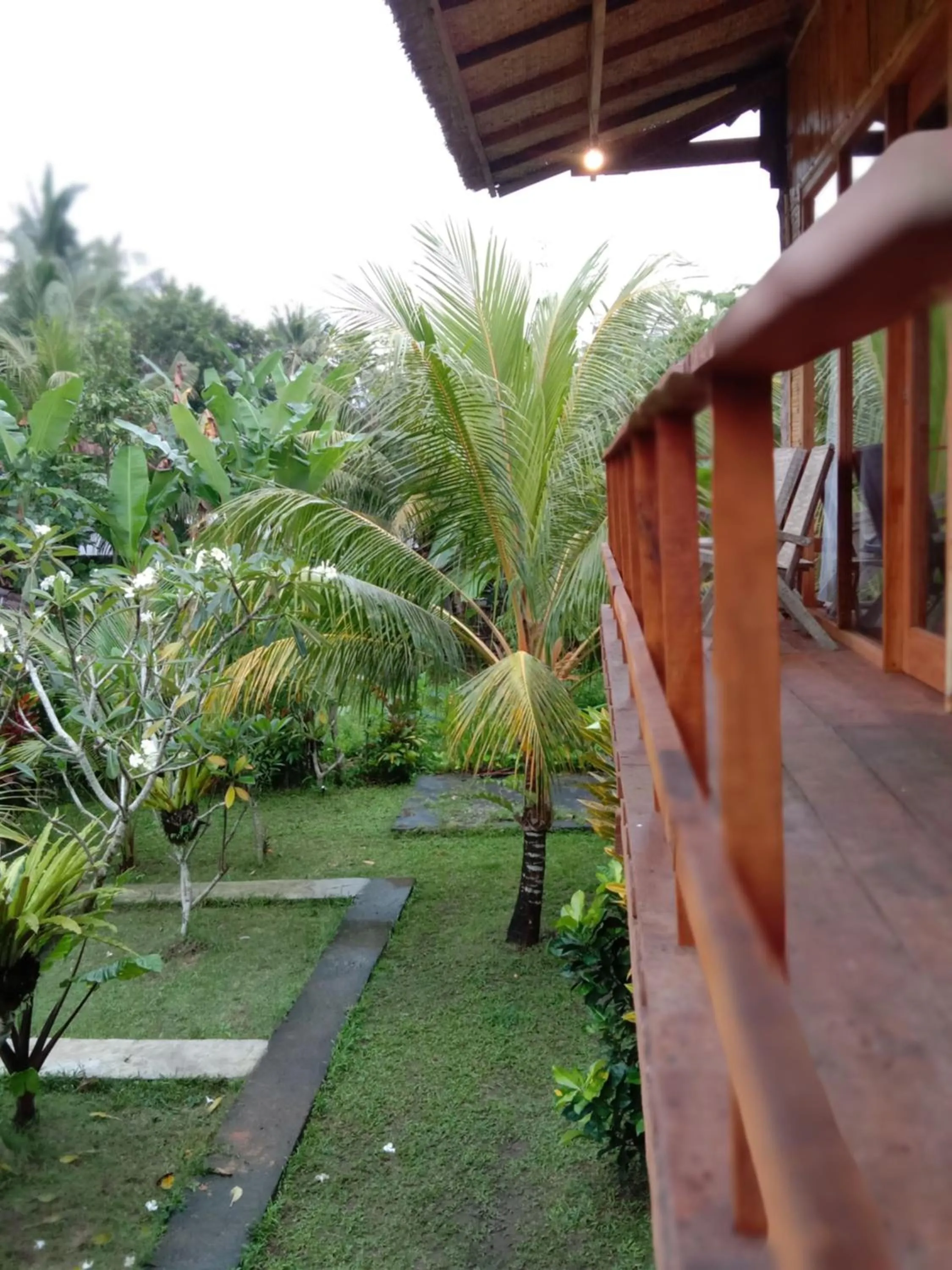 Jungle House - surf & stay