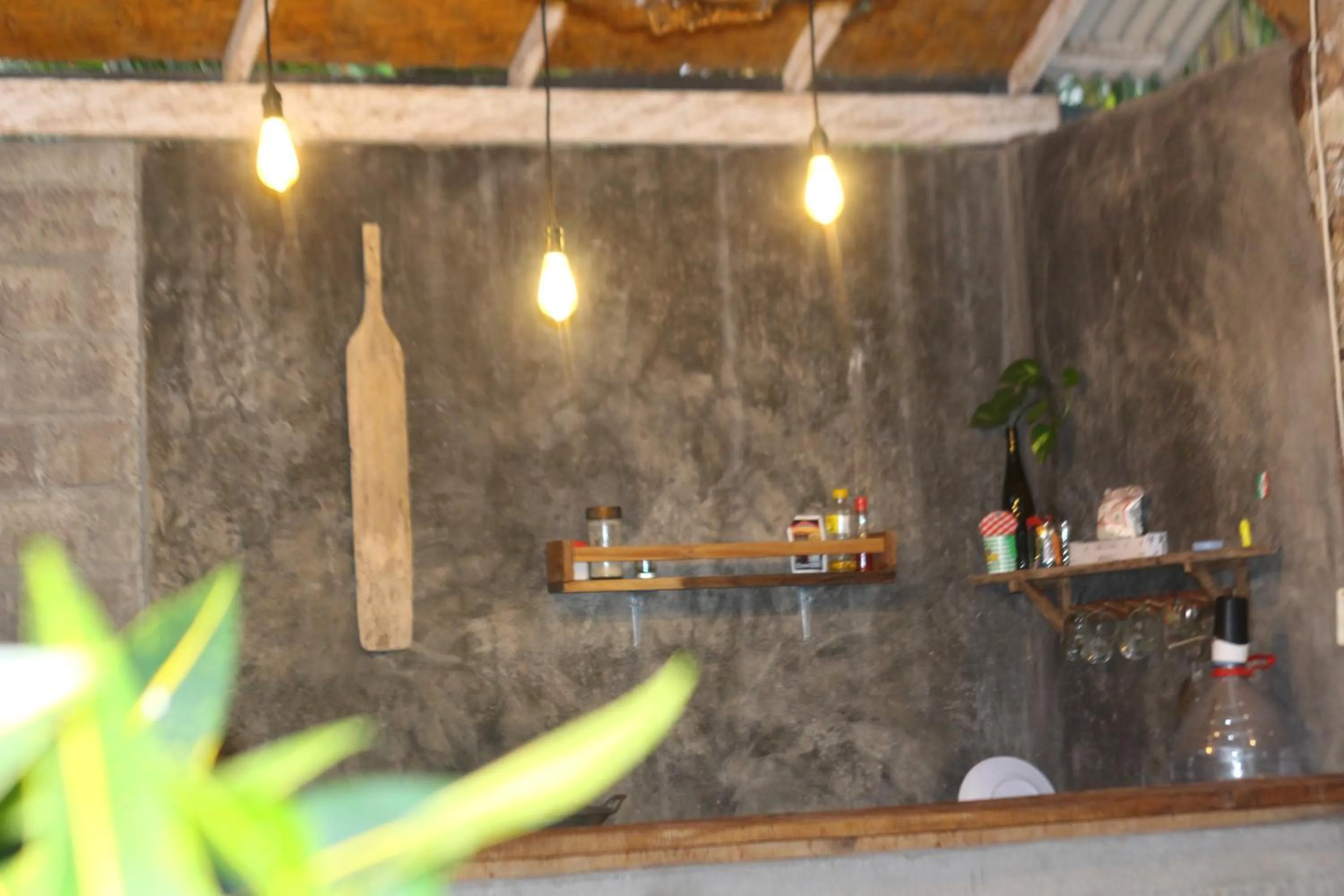 Jungle House - surf & stay