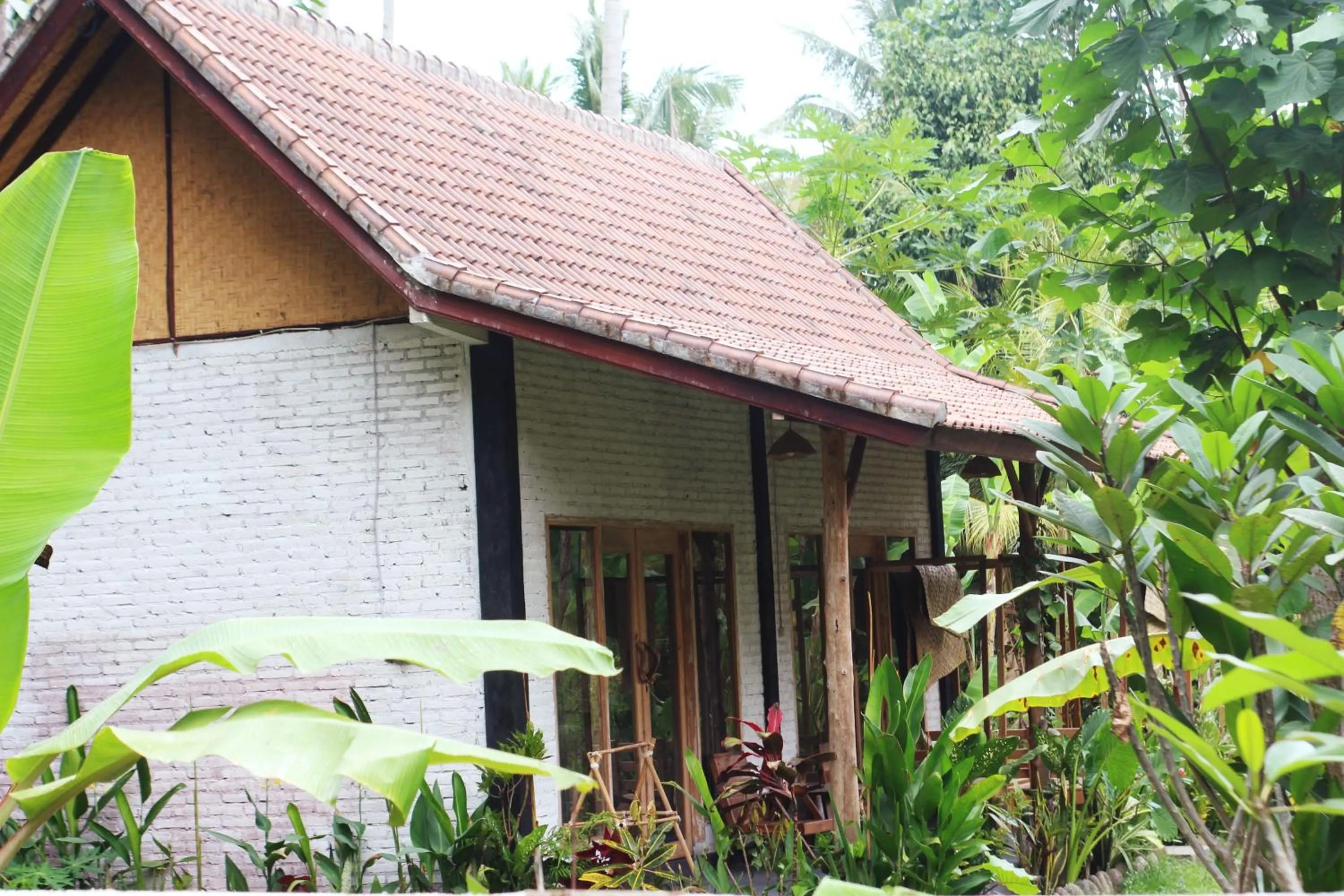 Jungle House - surf & stay