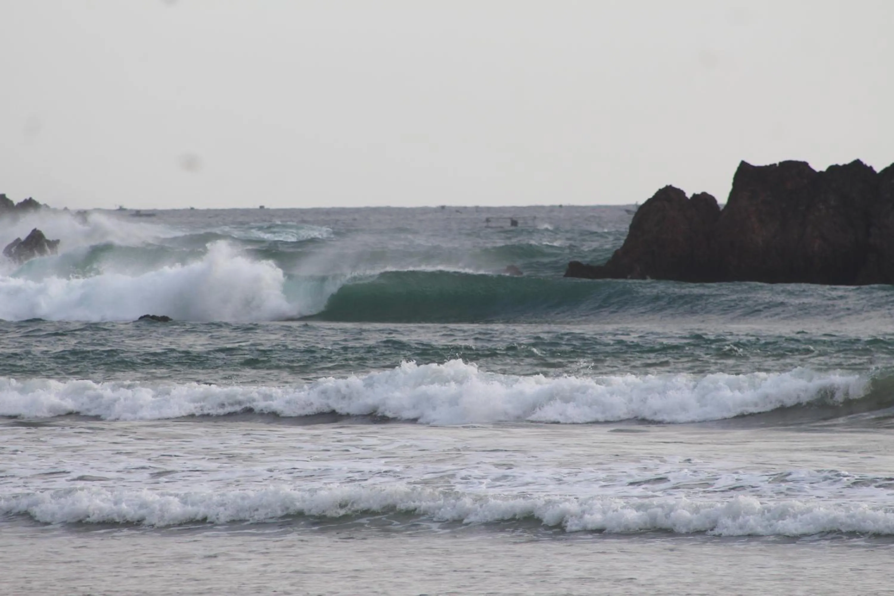 Jungle House - surf & stay