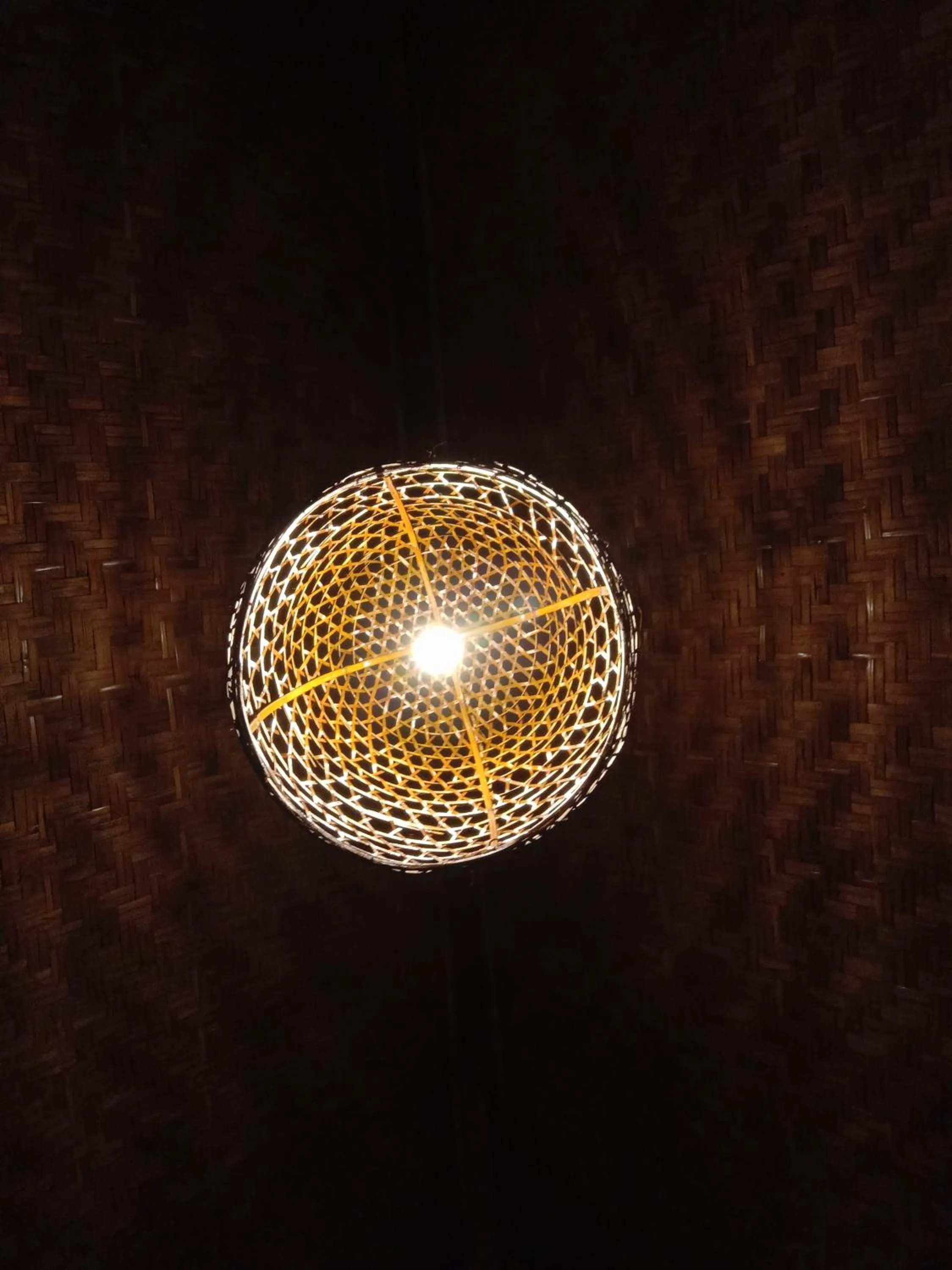 Property building in Jungle House - surf & stay