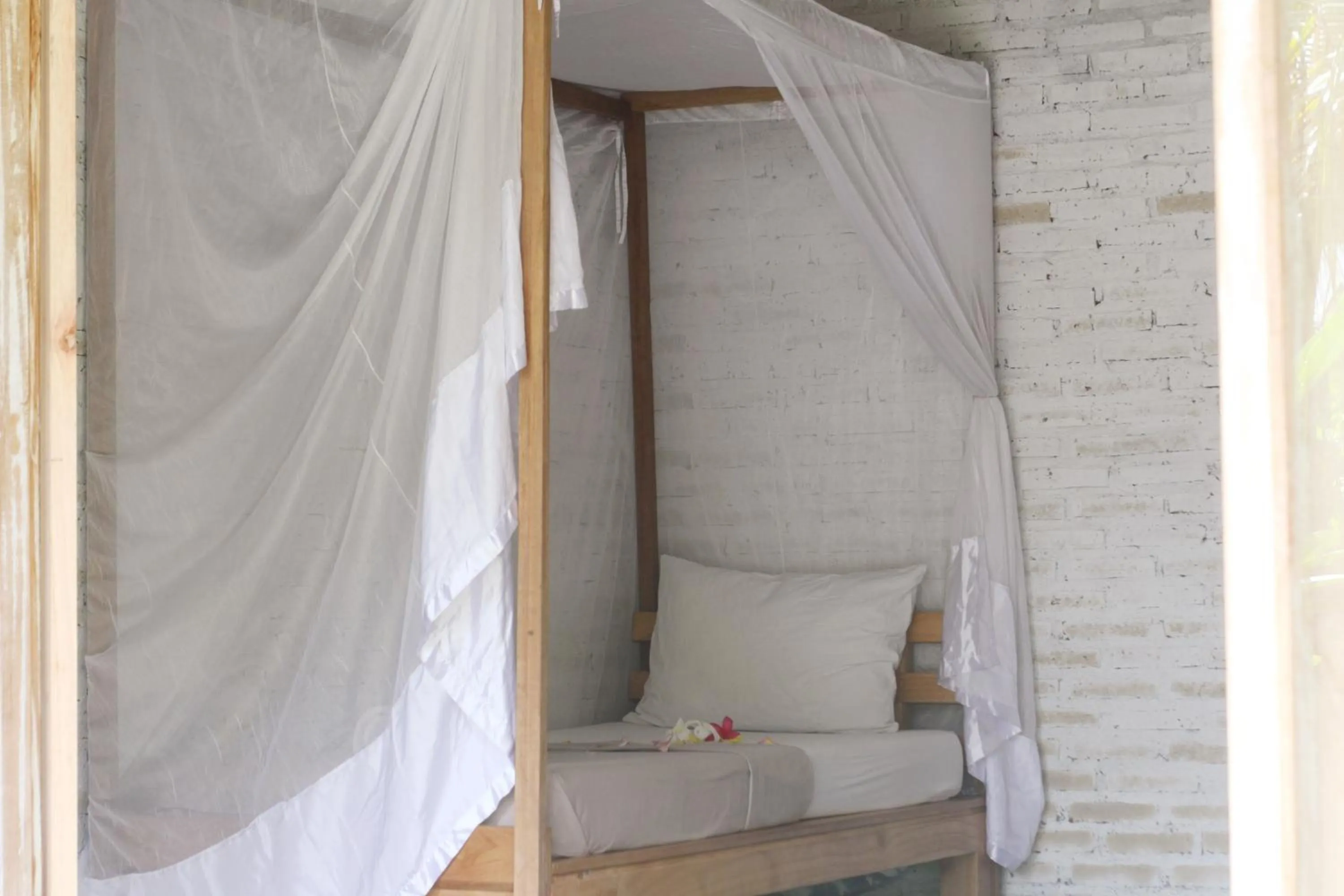 Jungle House - surf & stay