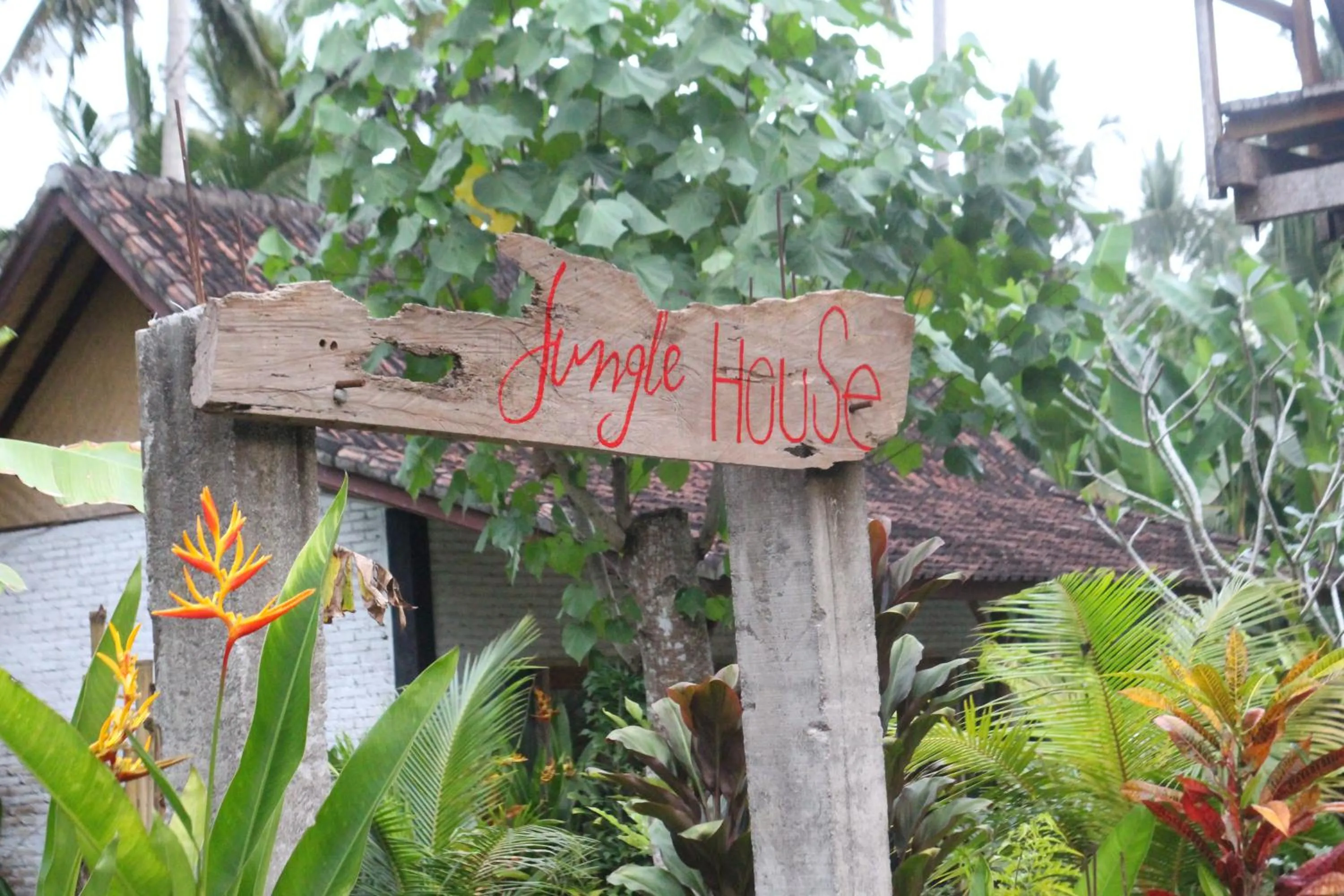 Jungle House - surf & stay