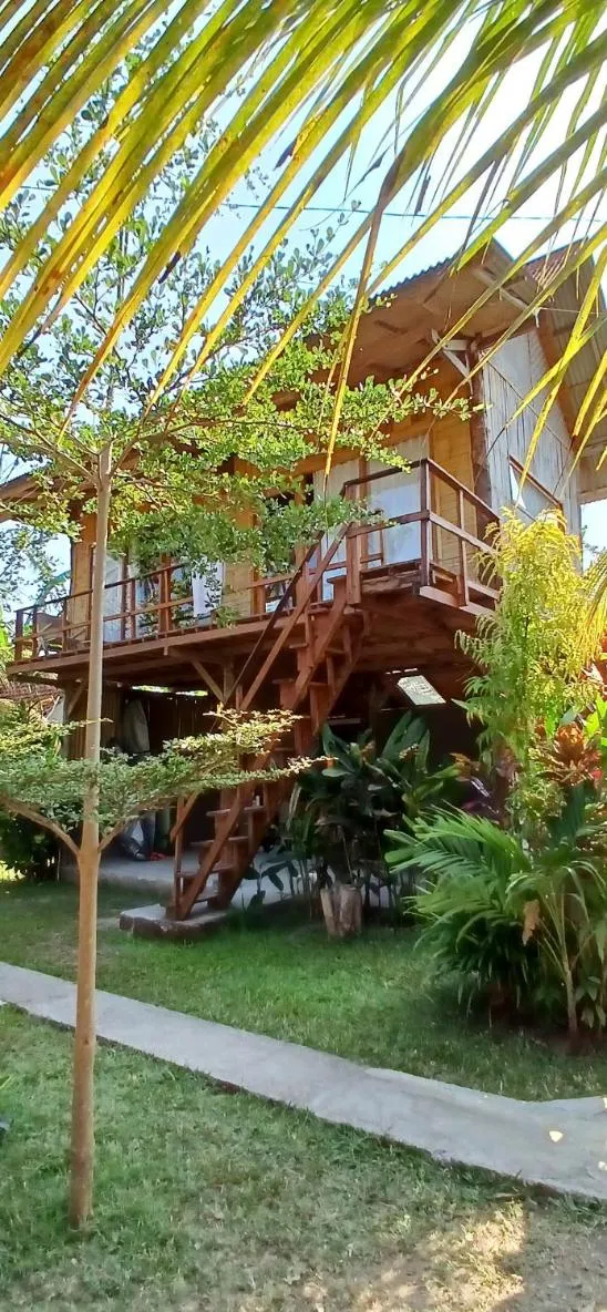 Jungle House - surf & stay