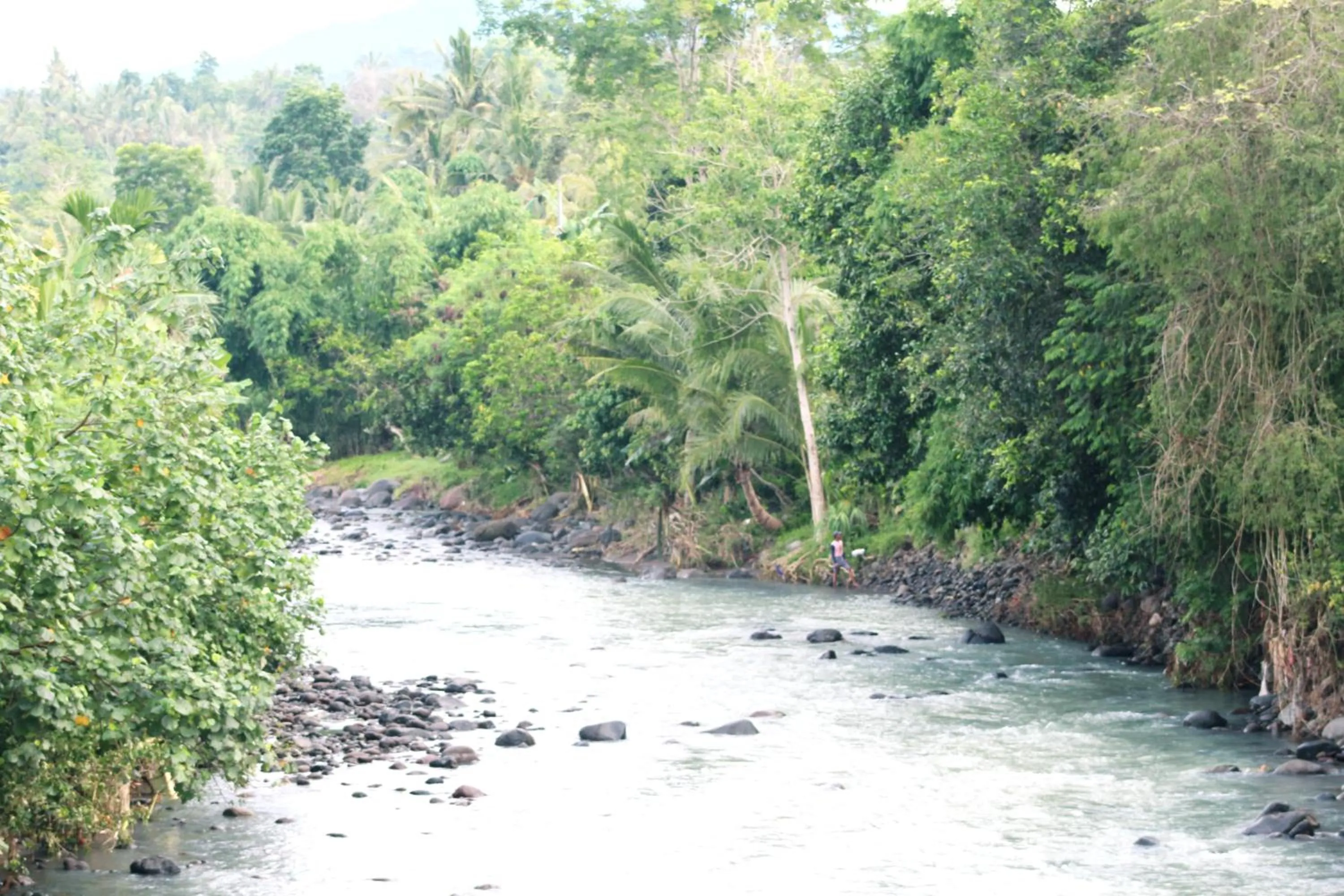 Jungle House - surf & stay