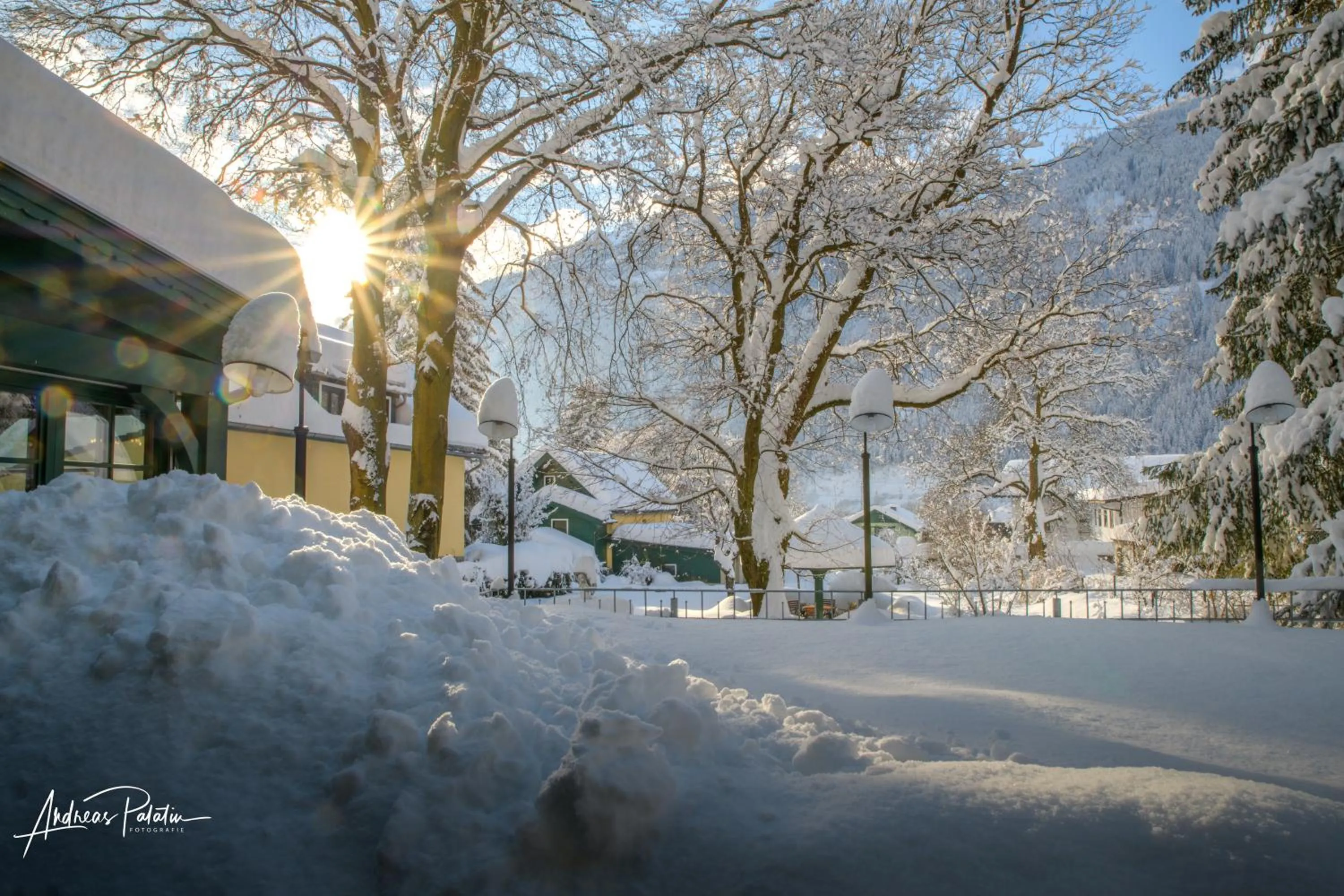Garden view in Landhotel Pacher