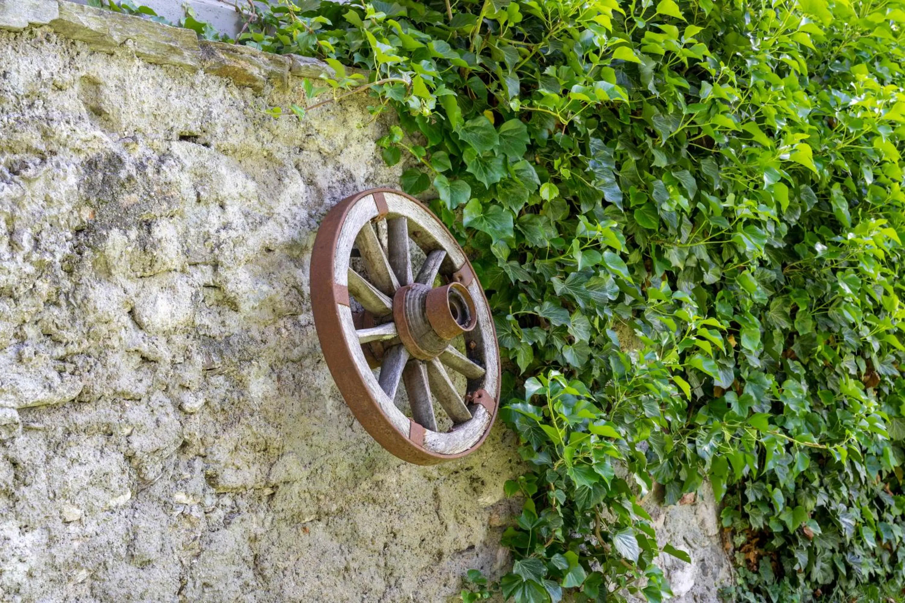 Garden in Landhotel Pacher