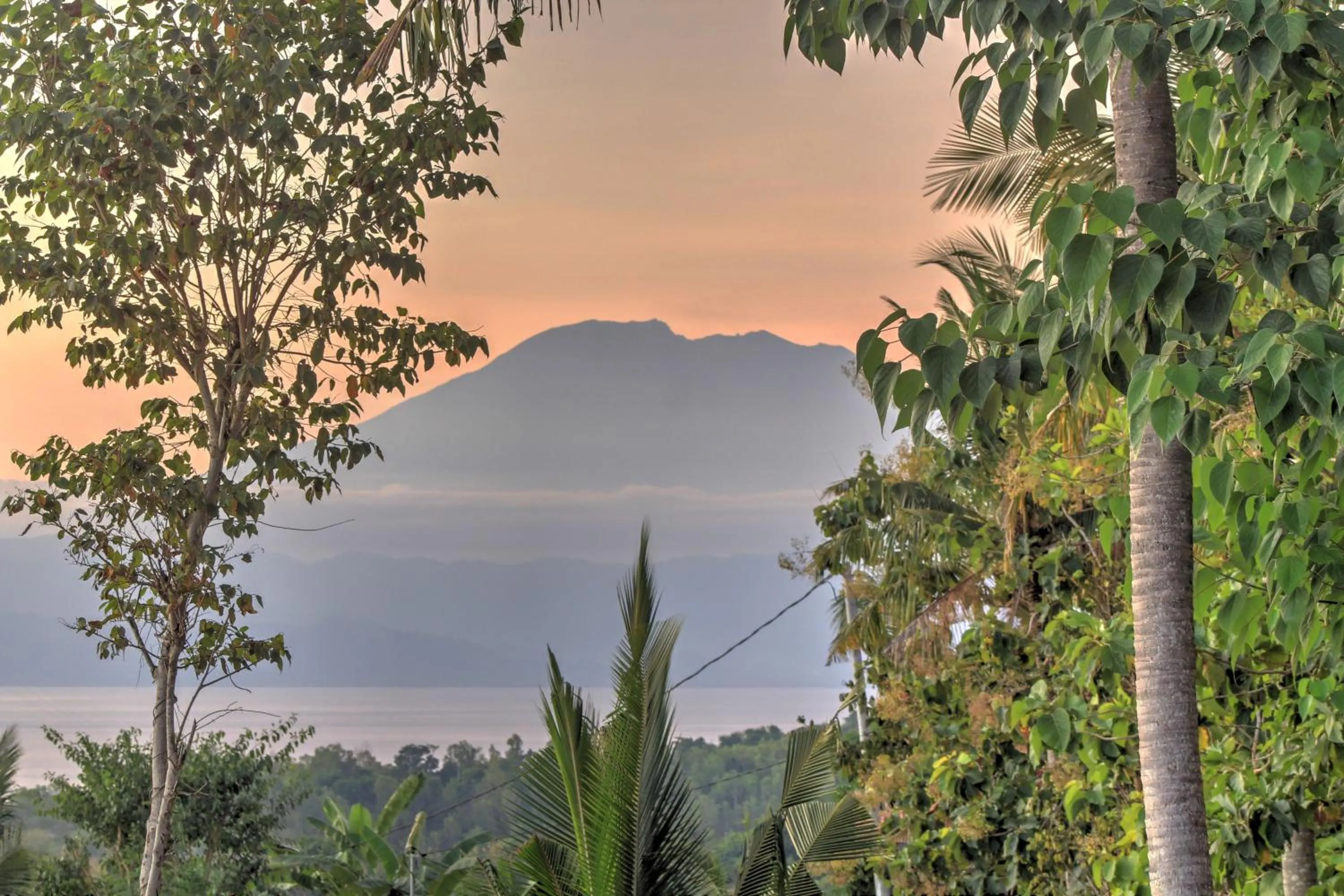 Natural landscape in Arya Resort Nusa Penida