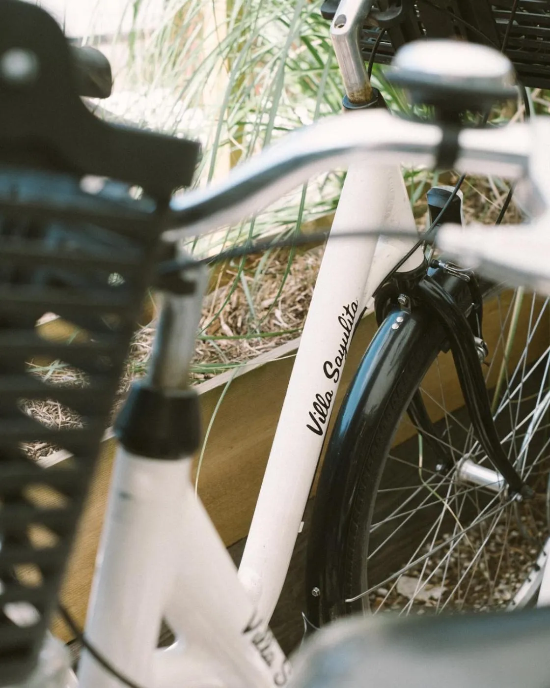 Villa Sayulita Surfhouse