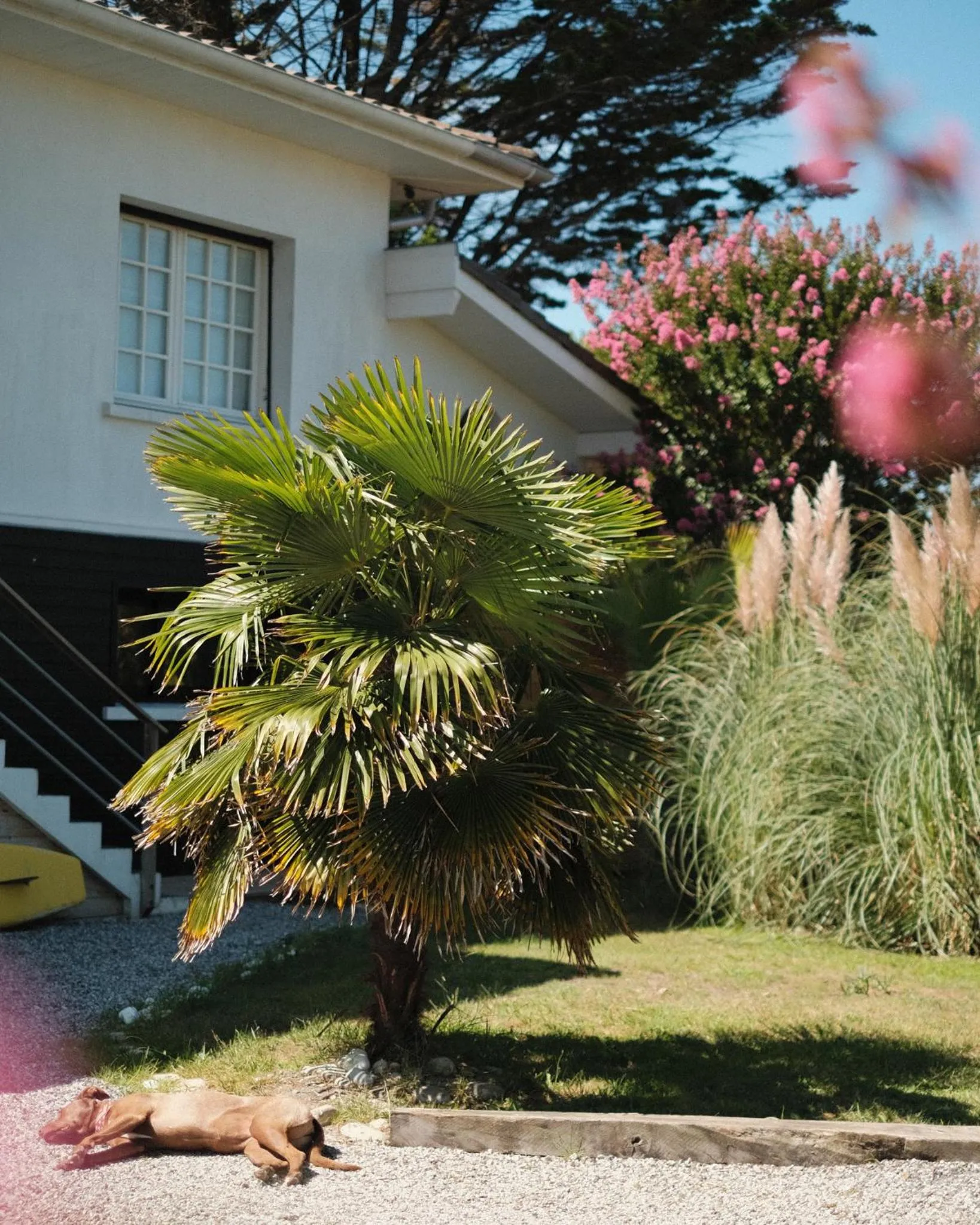 Property building in Villa Sayulita Surfhouse