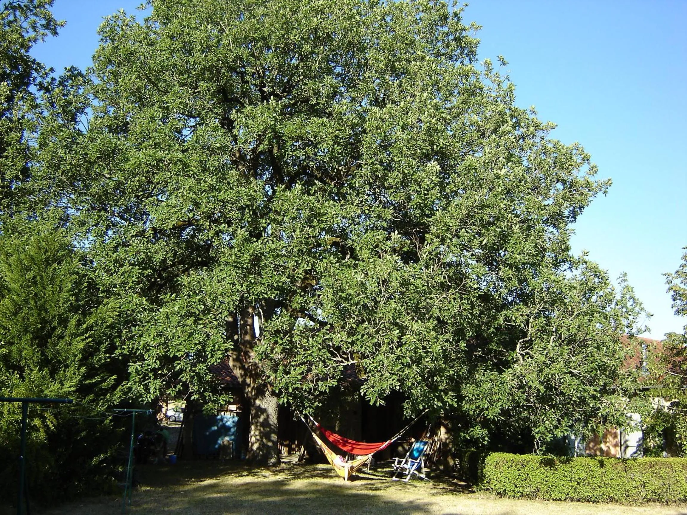 Garden in Le Fraysse