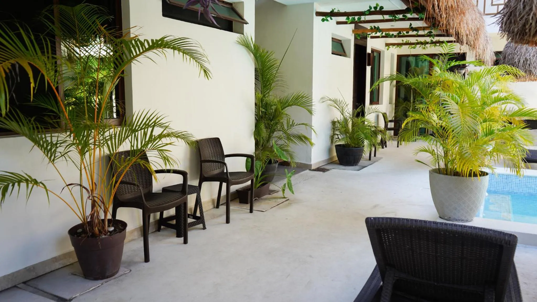 Hotel Diosa del Agua Bacalar