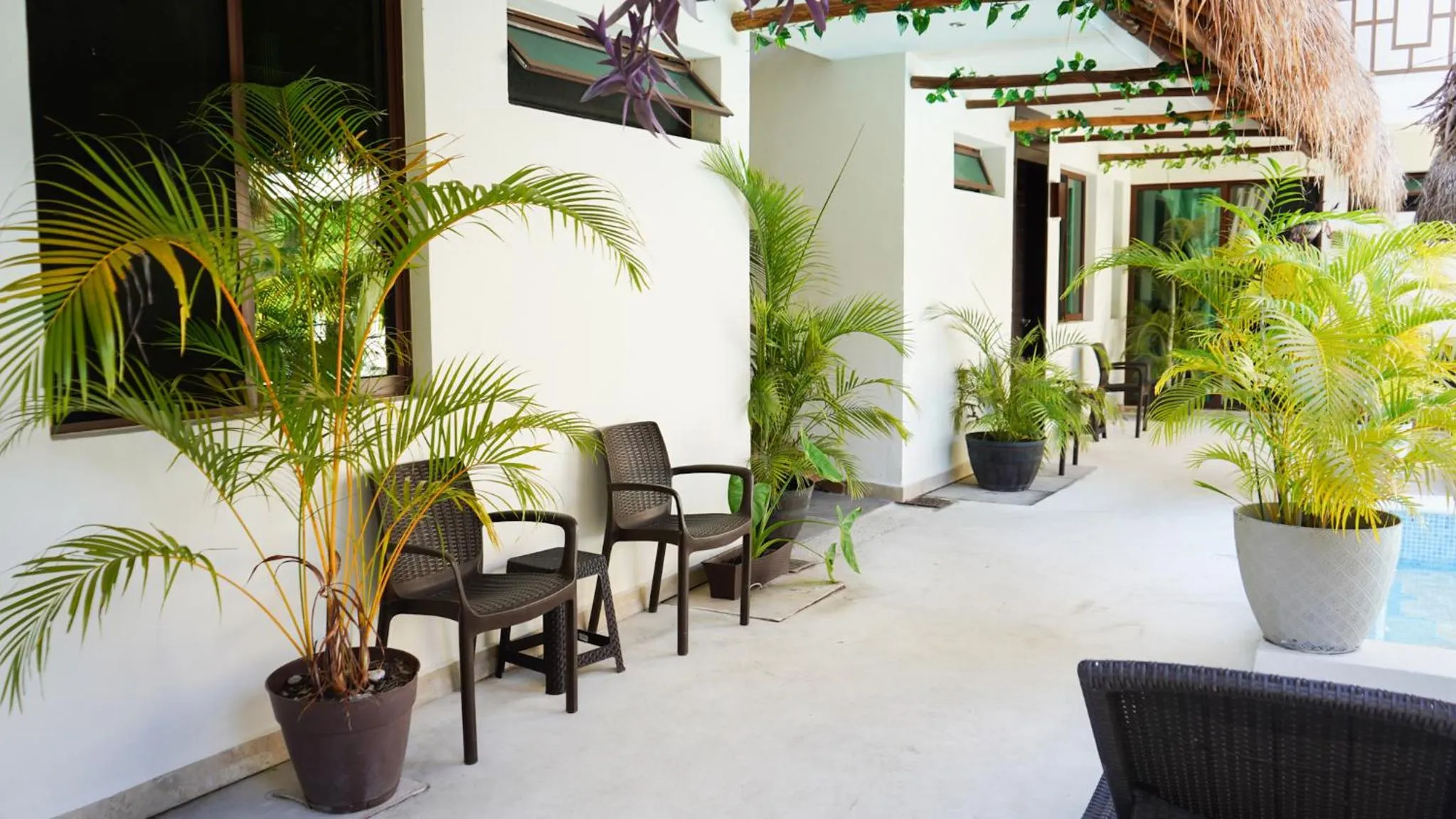 Hotel Diosa del Agua Bacalar