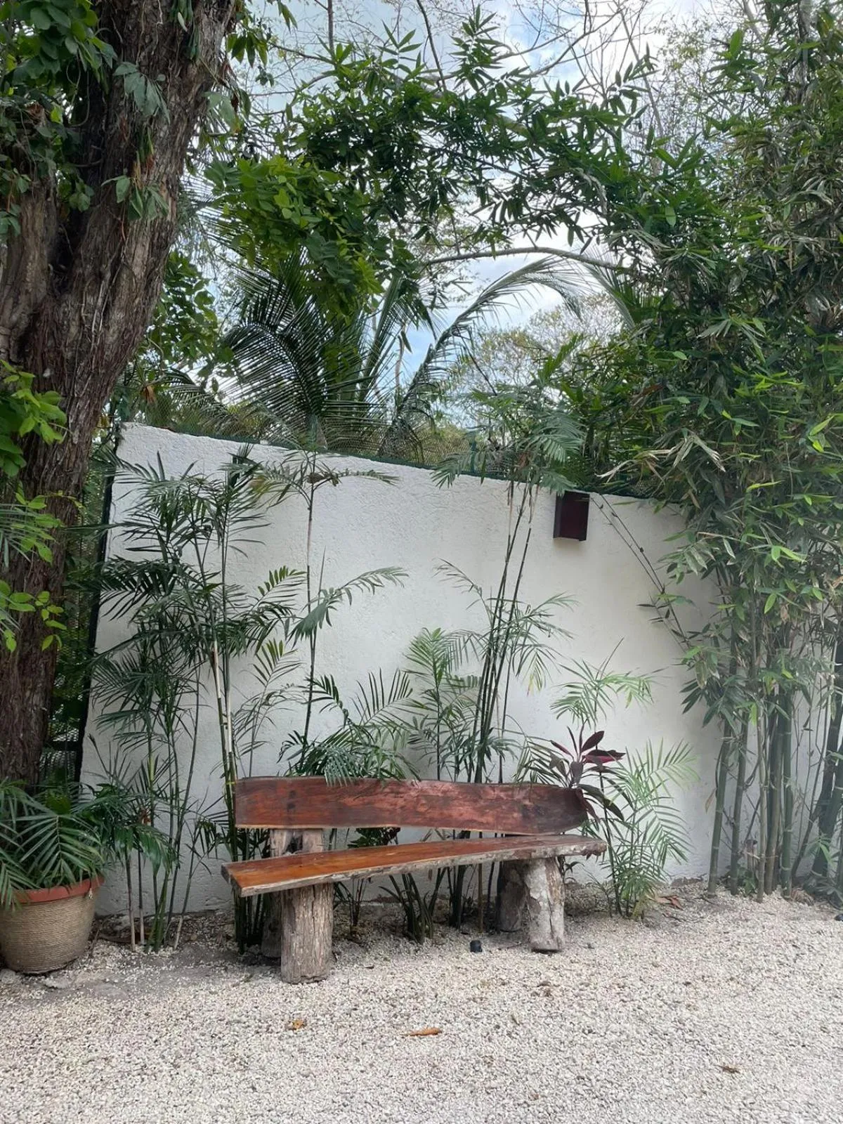 Patio in Hotel Diosa del Agua Bacalar