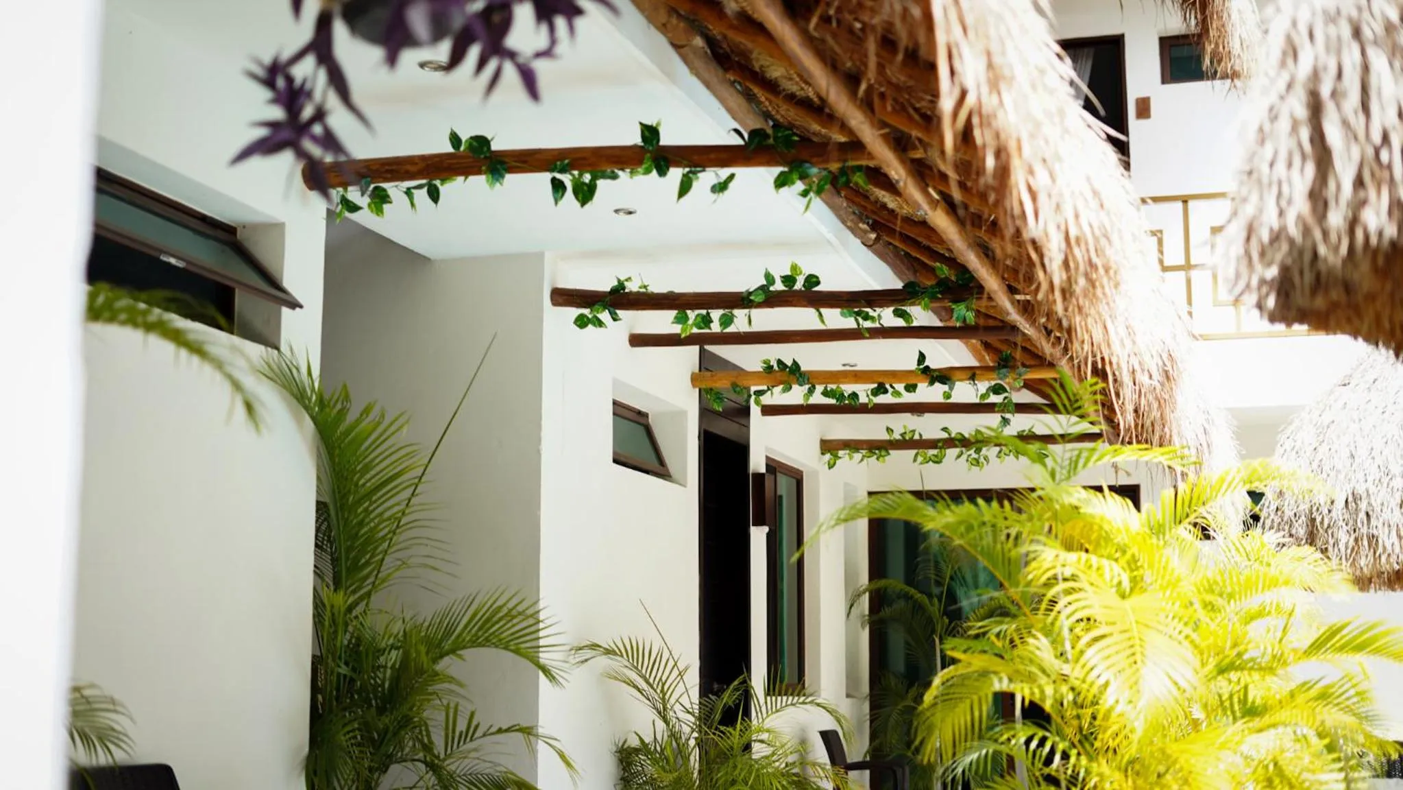 Hotel Diosa del Agua Bacalar