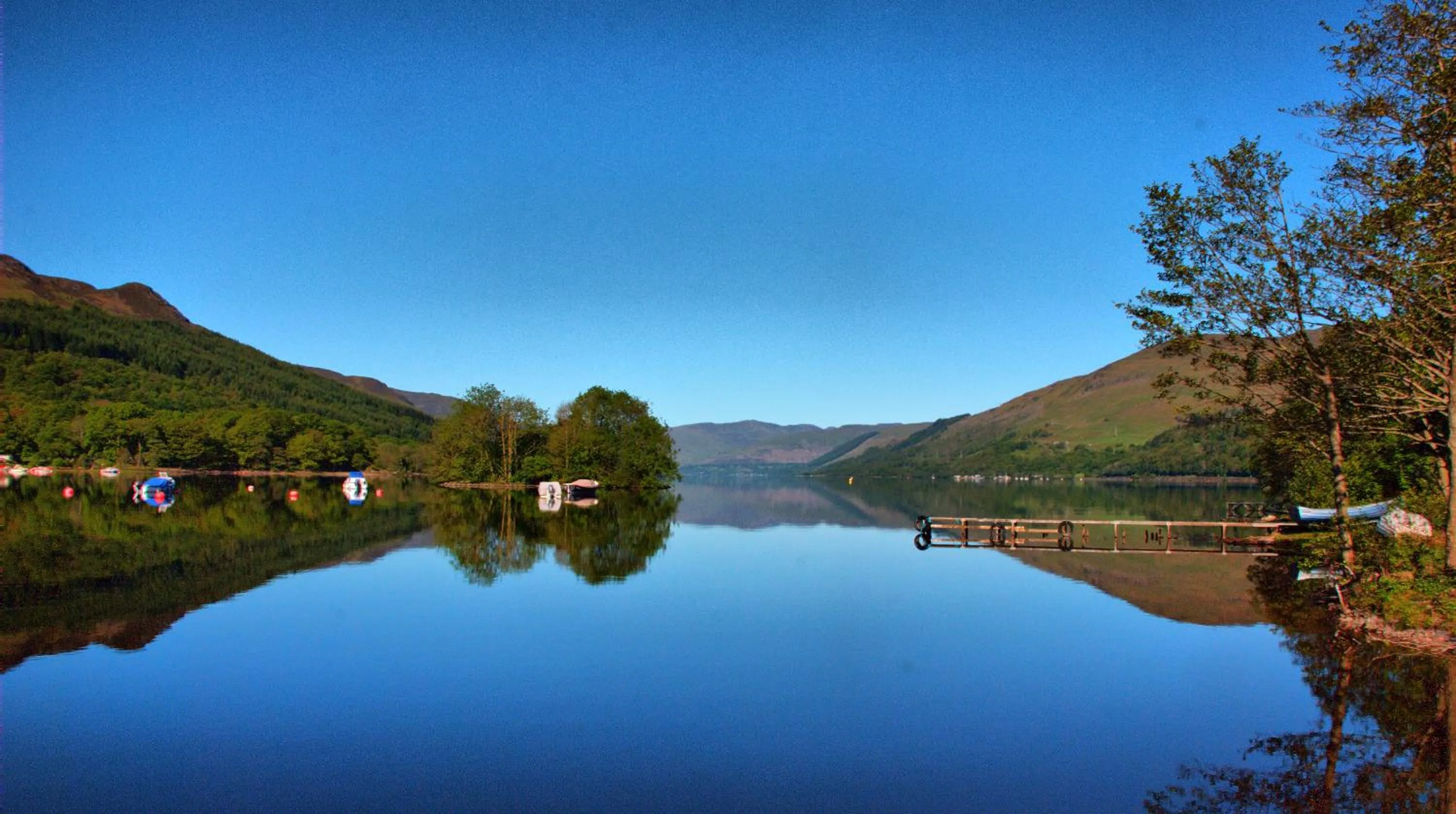 Natural landscape in Achray House Restaurant with Rooms