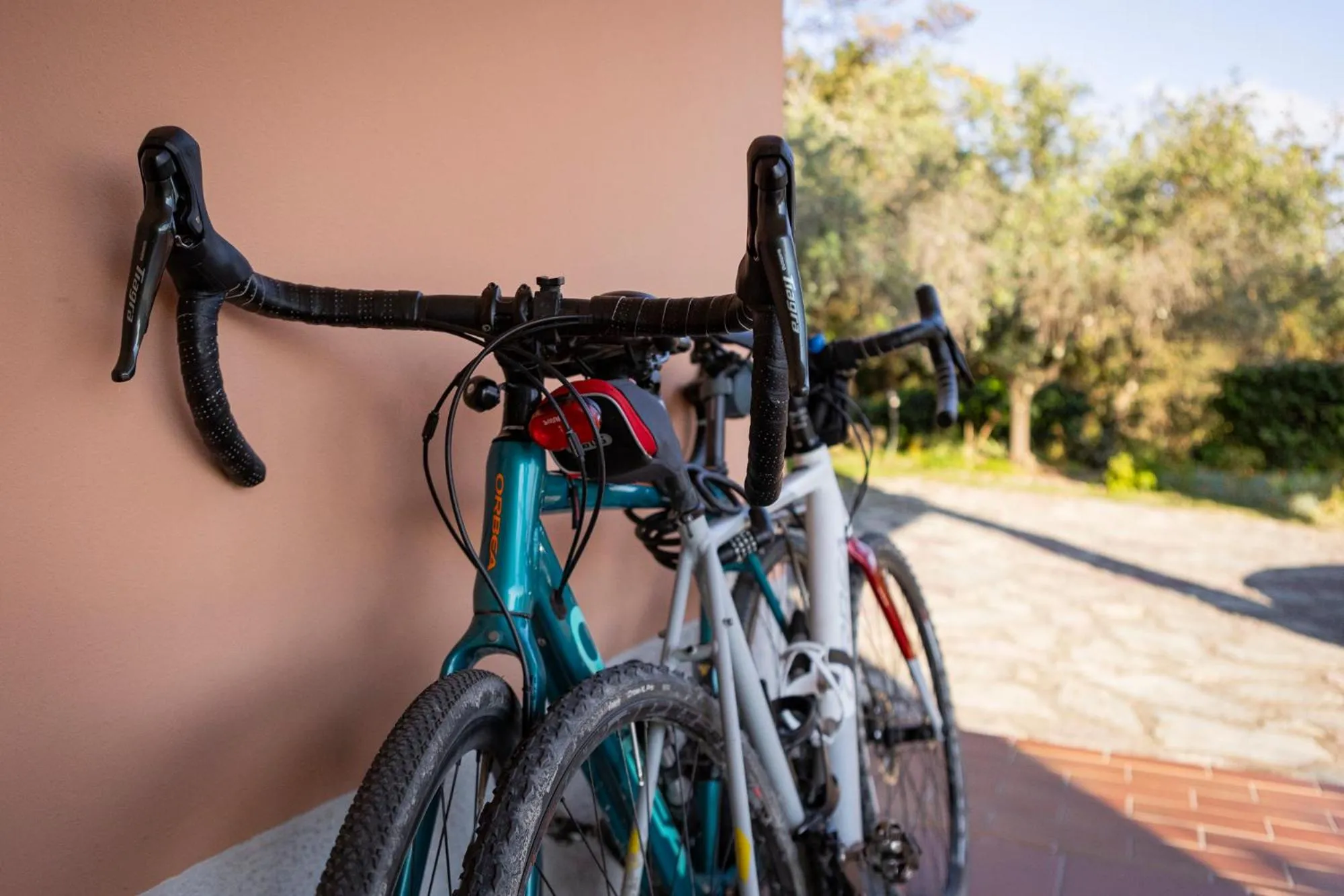 Activities in La Camelia Bianca B&B