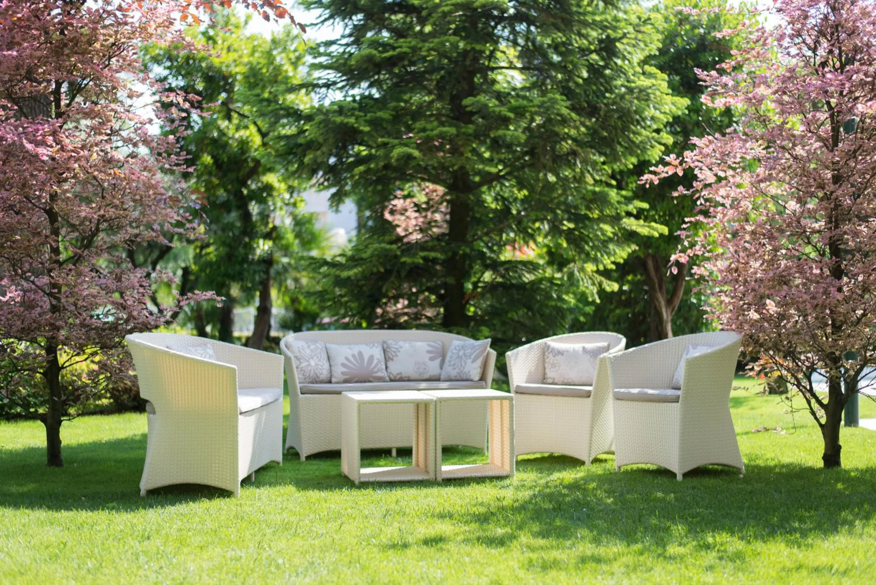 Garden in Hotel Due Torri