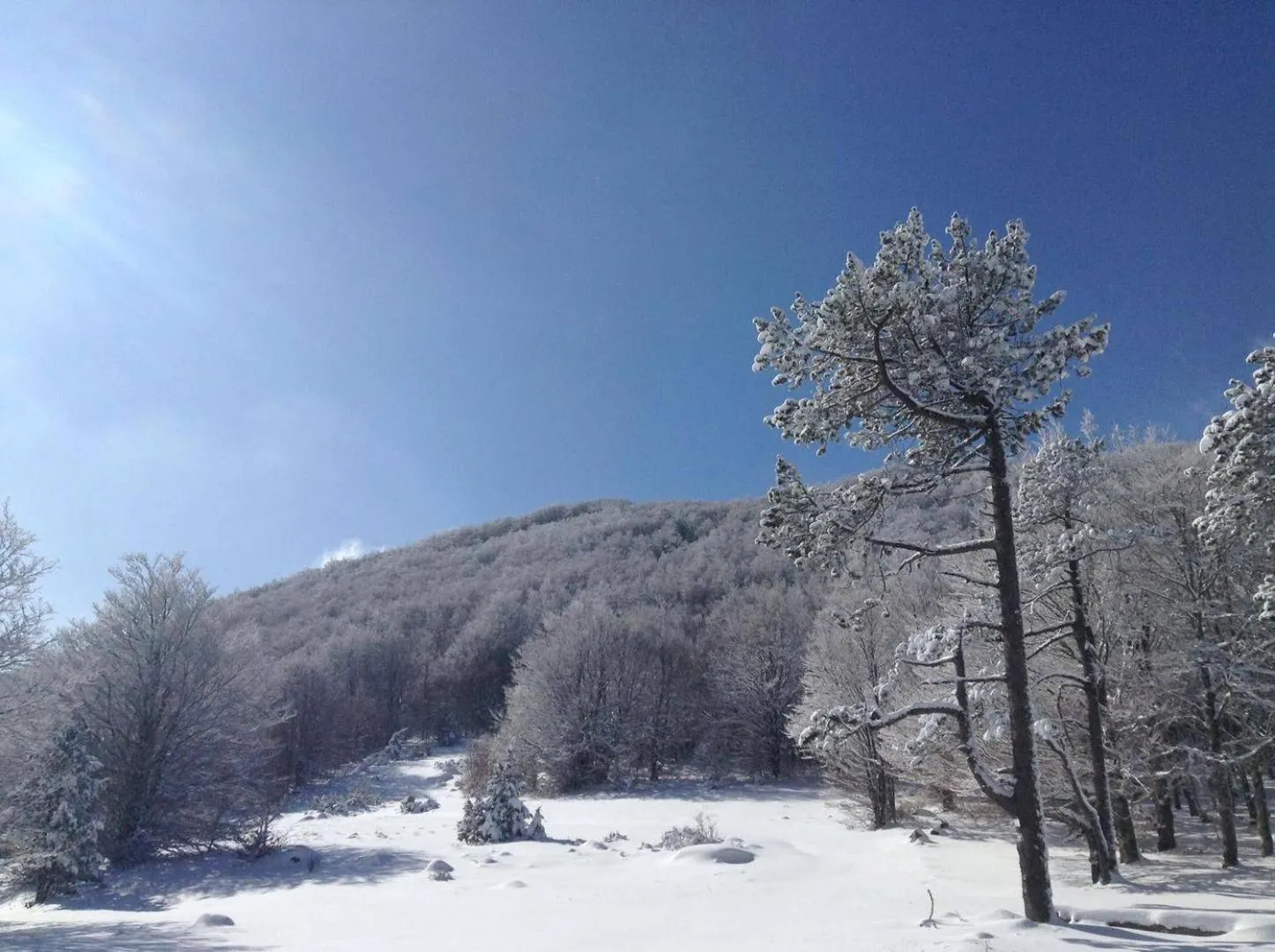 Natural landscape in Hôtel Mont Thabor Serre Chevalier