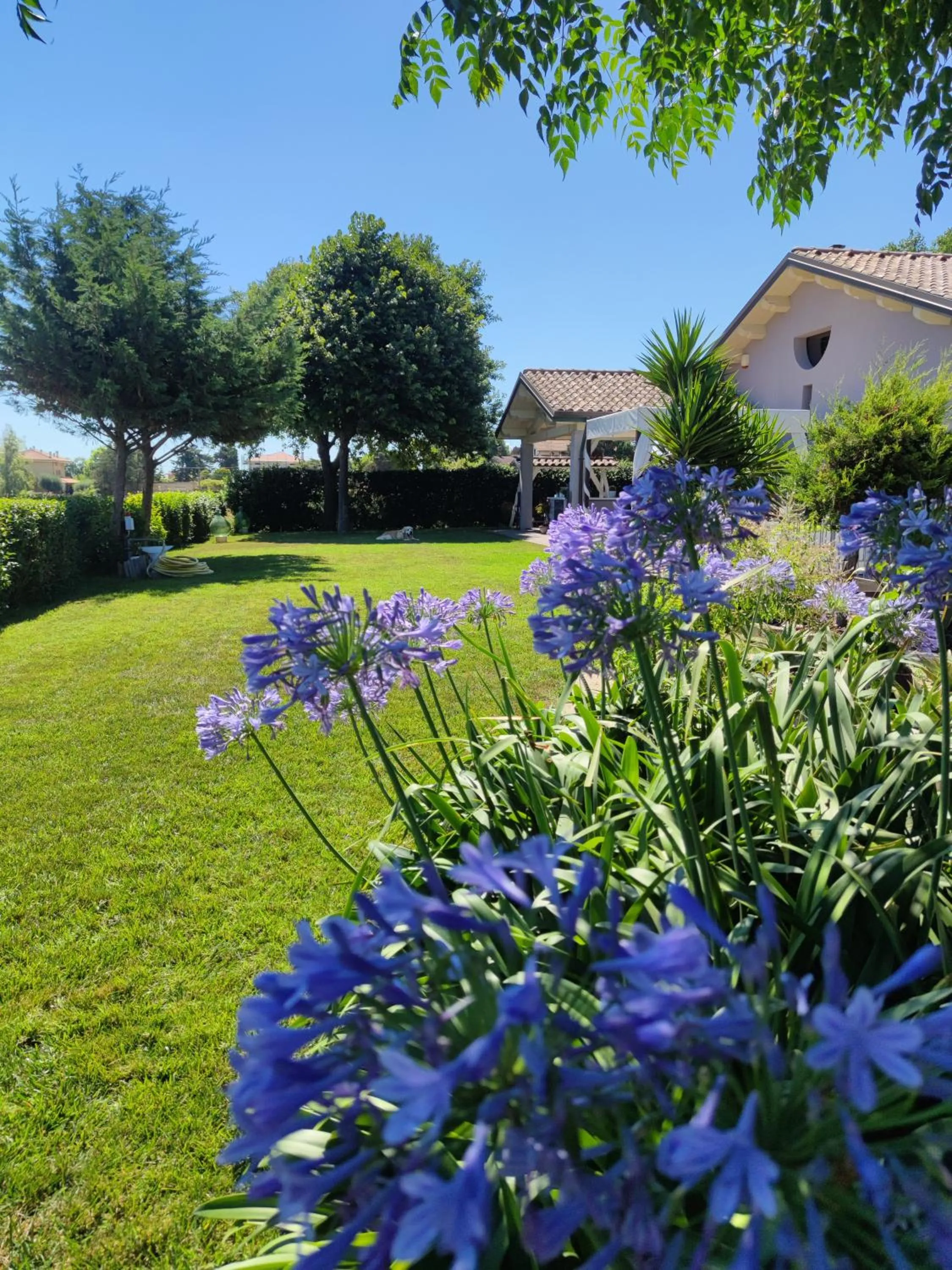 Day in B&B Flavio e Catia