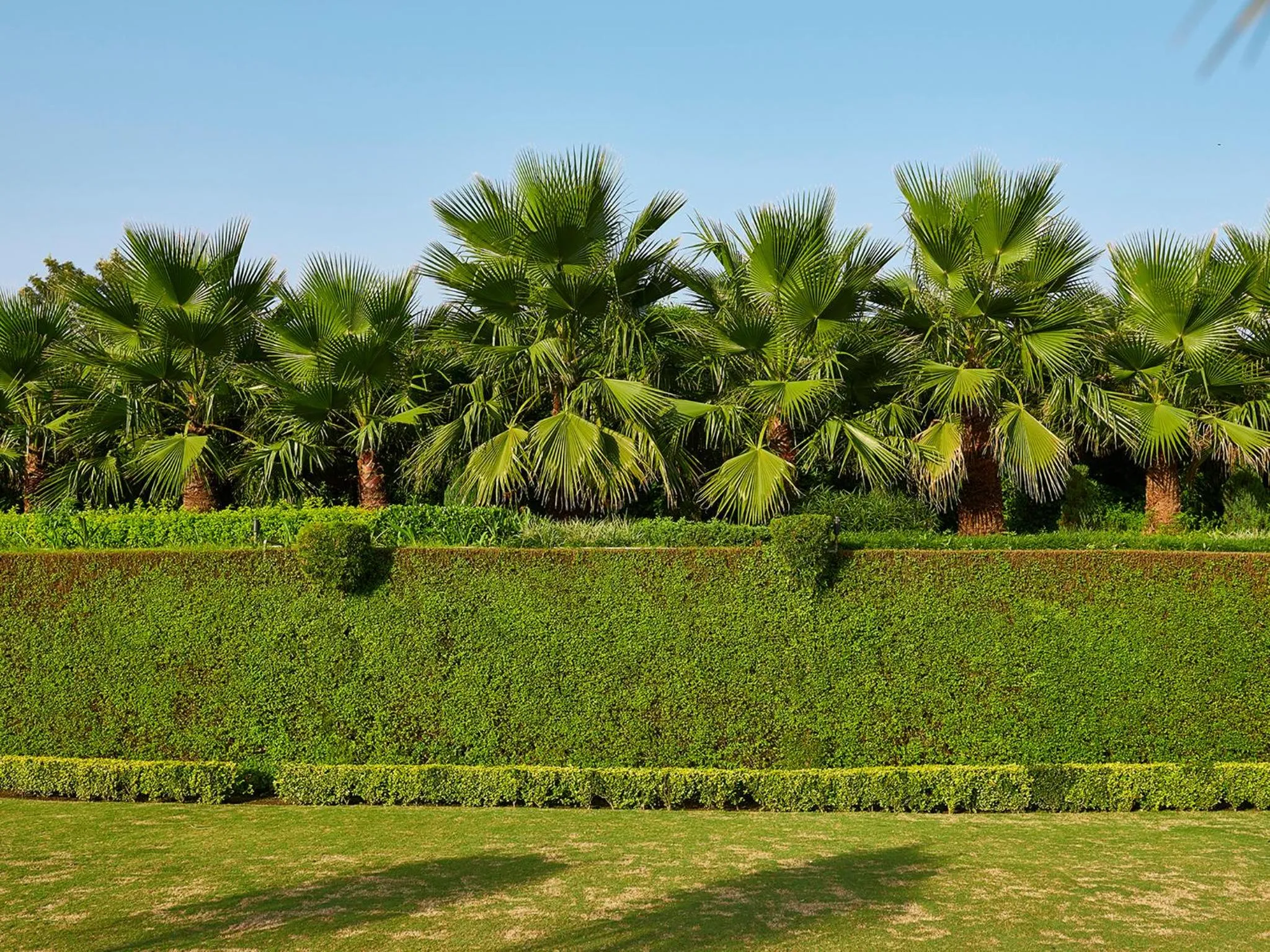 Garden in Club Mahindra Kandaghat