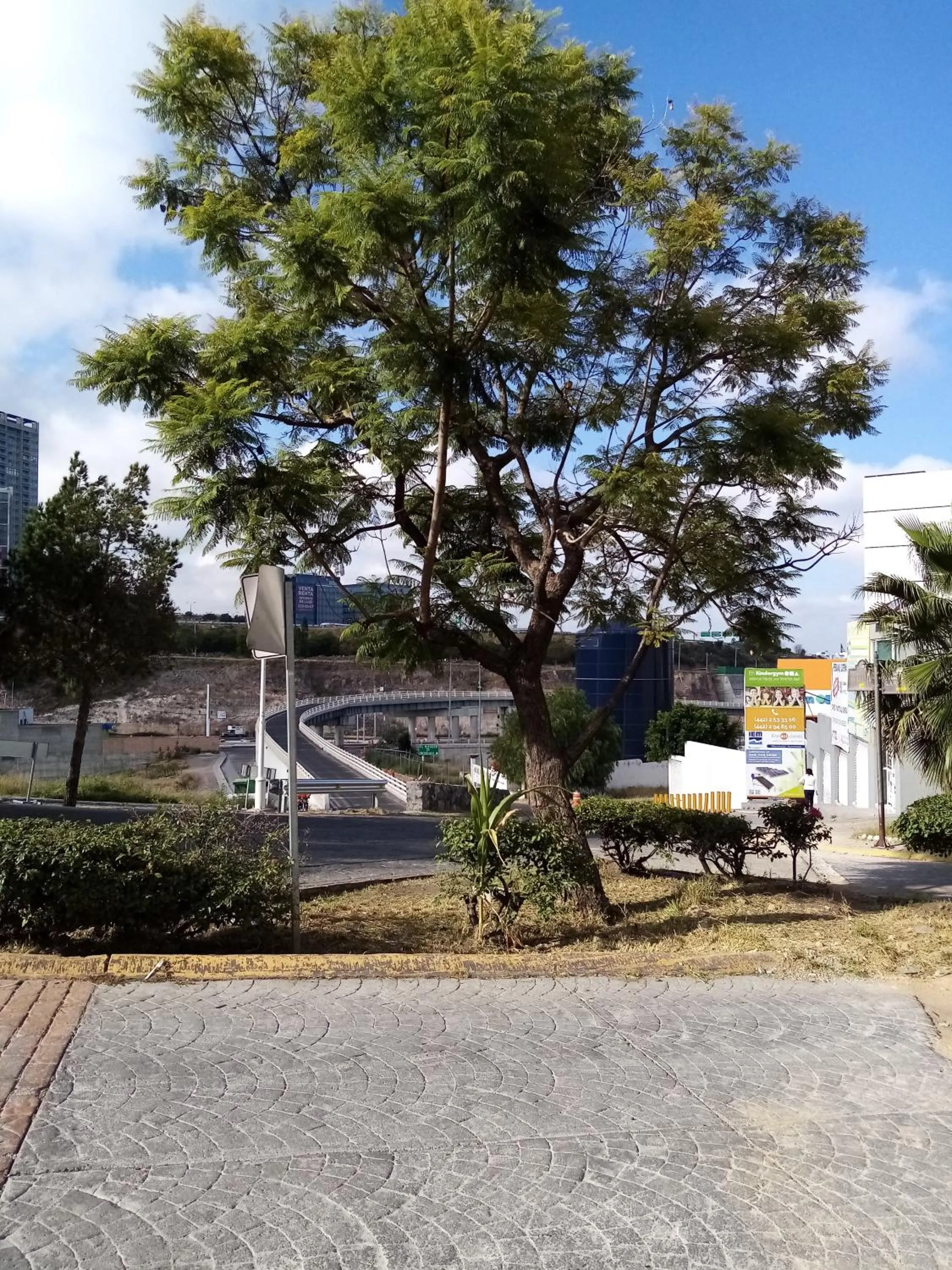 Off site in Milenio III B&B