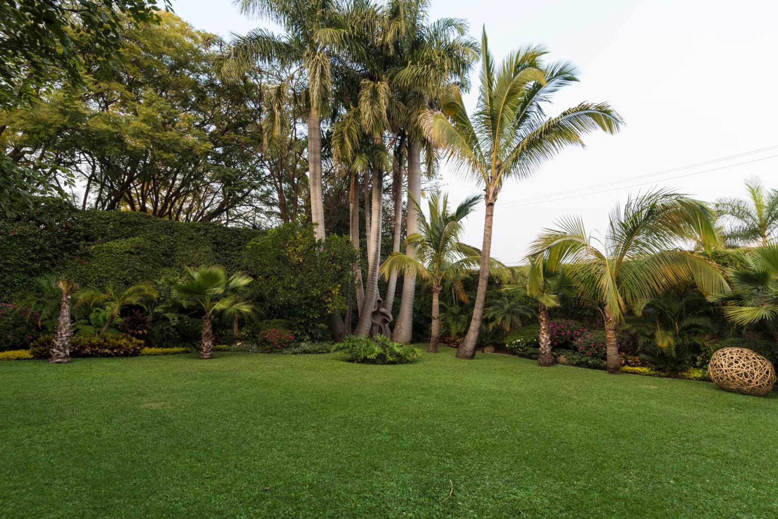 Natural landscape in Casa Sofia