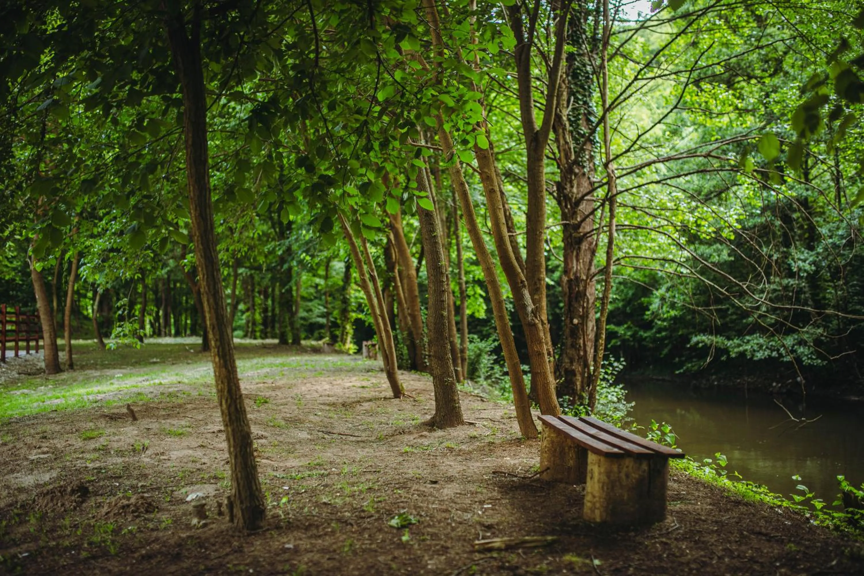 Natural landscape in Restoran sa prenoćištem Gornjak