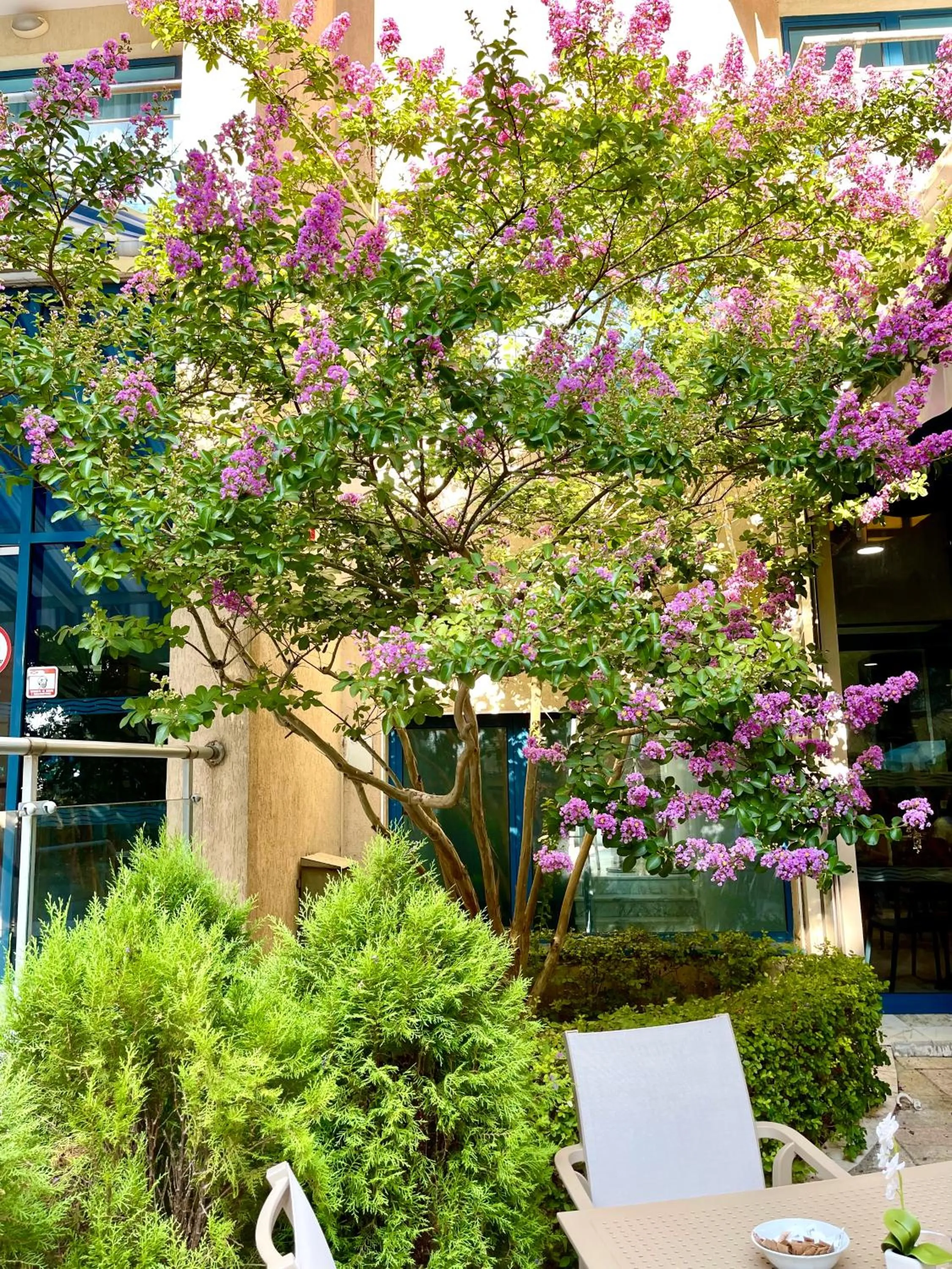 Property building in BSA Holiday Park Hotel - All Inclusive