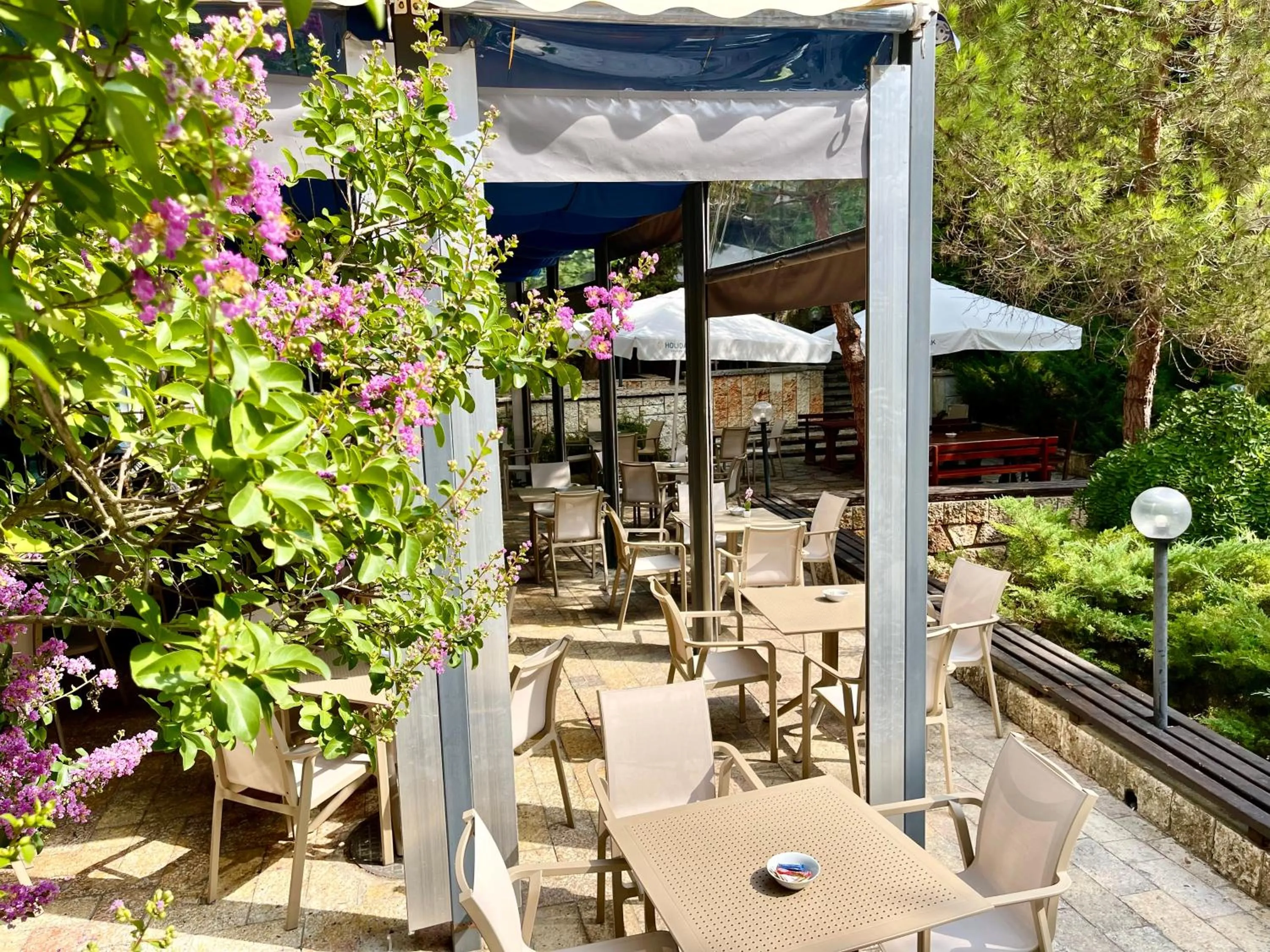 Restaurant/places to eat in BSA Holiday Park Hotel - All Inclusive