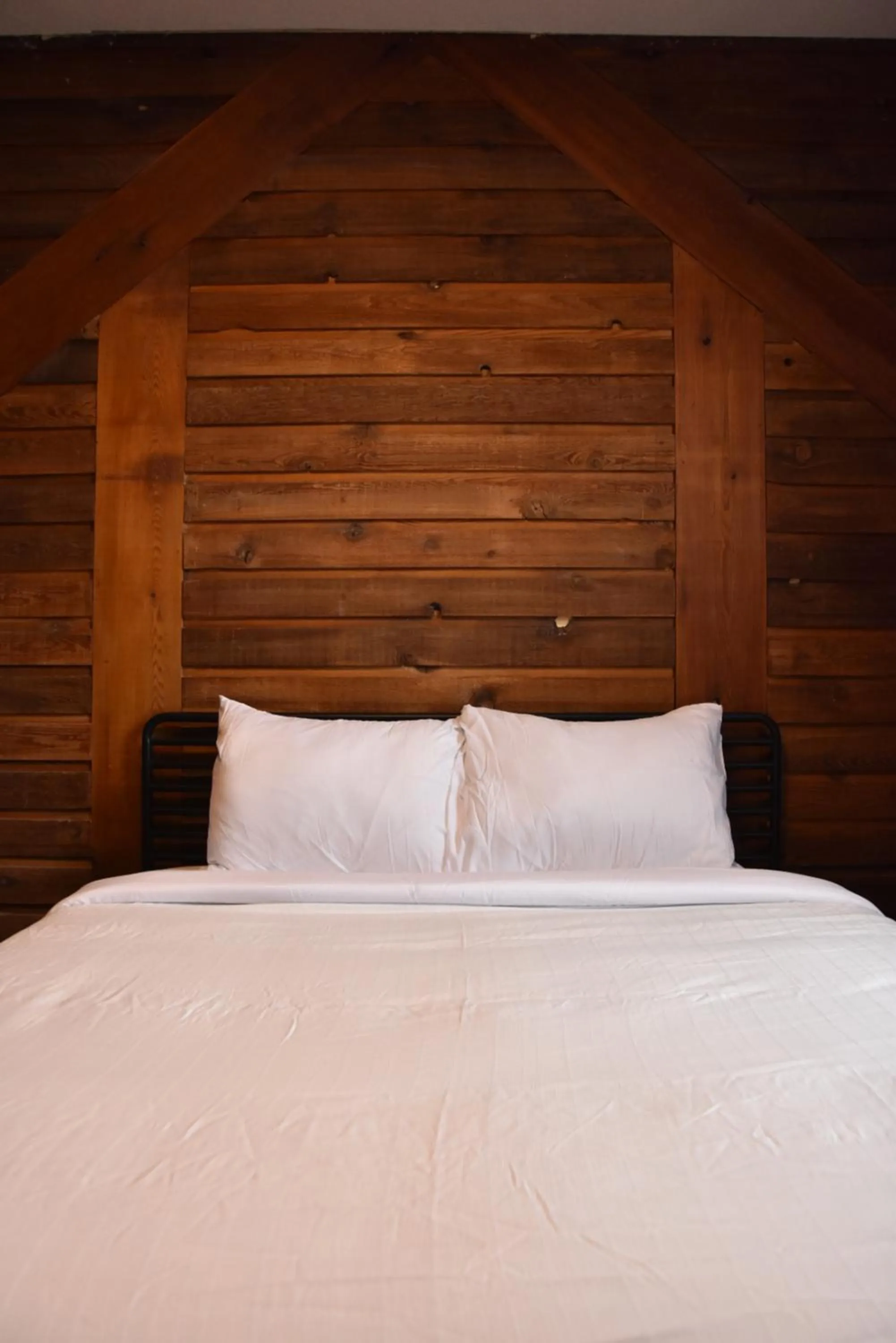 Bed in PARTY HOSTEL - The Canmore Hotel Hostel