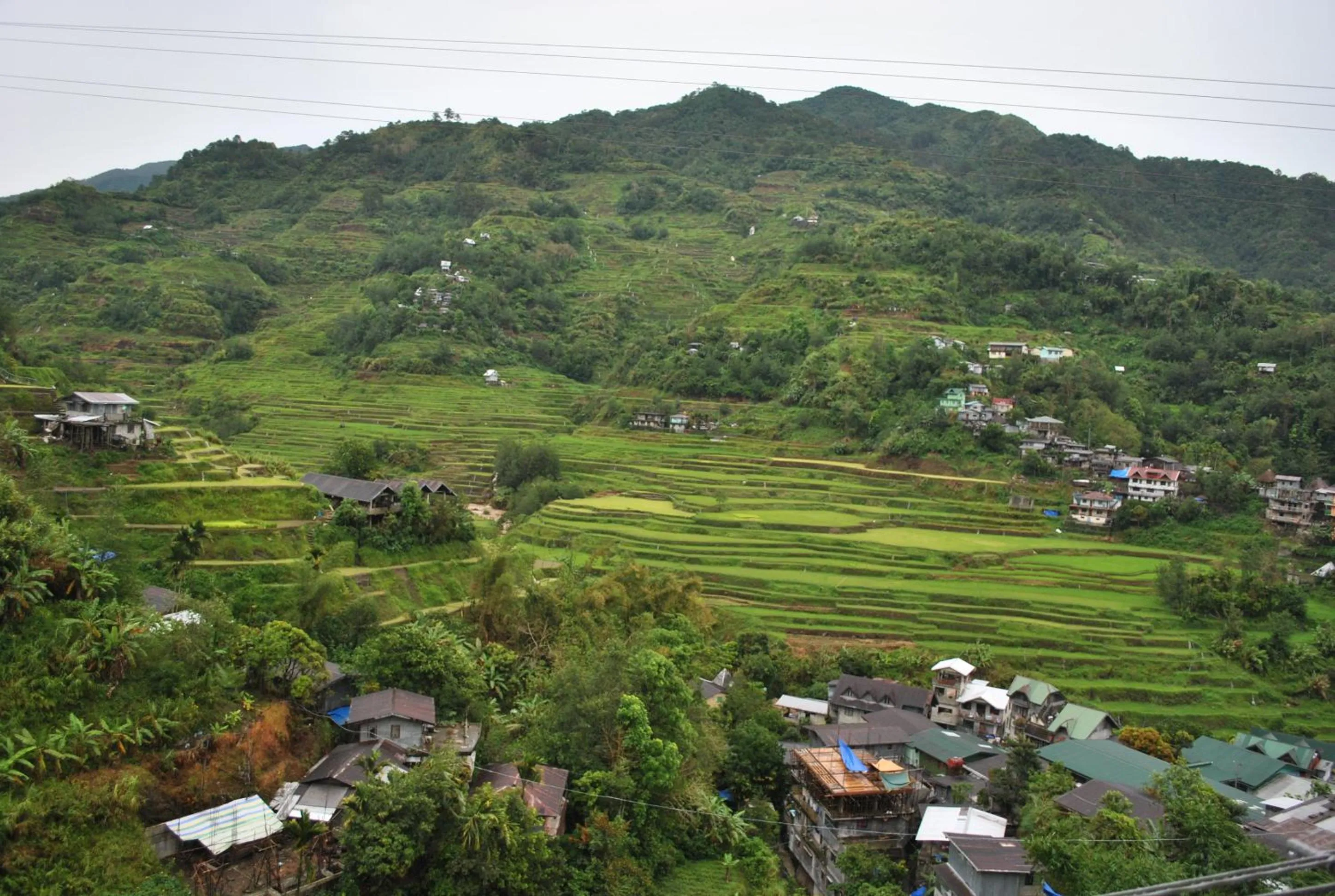 View (from property/room) in Banaue Homestay